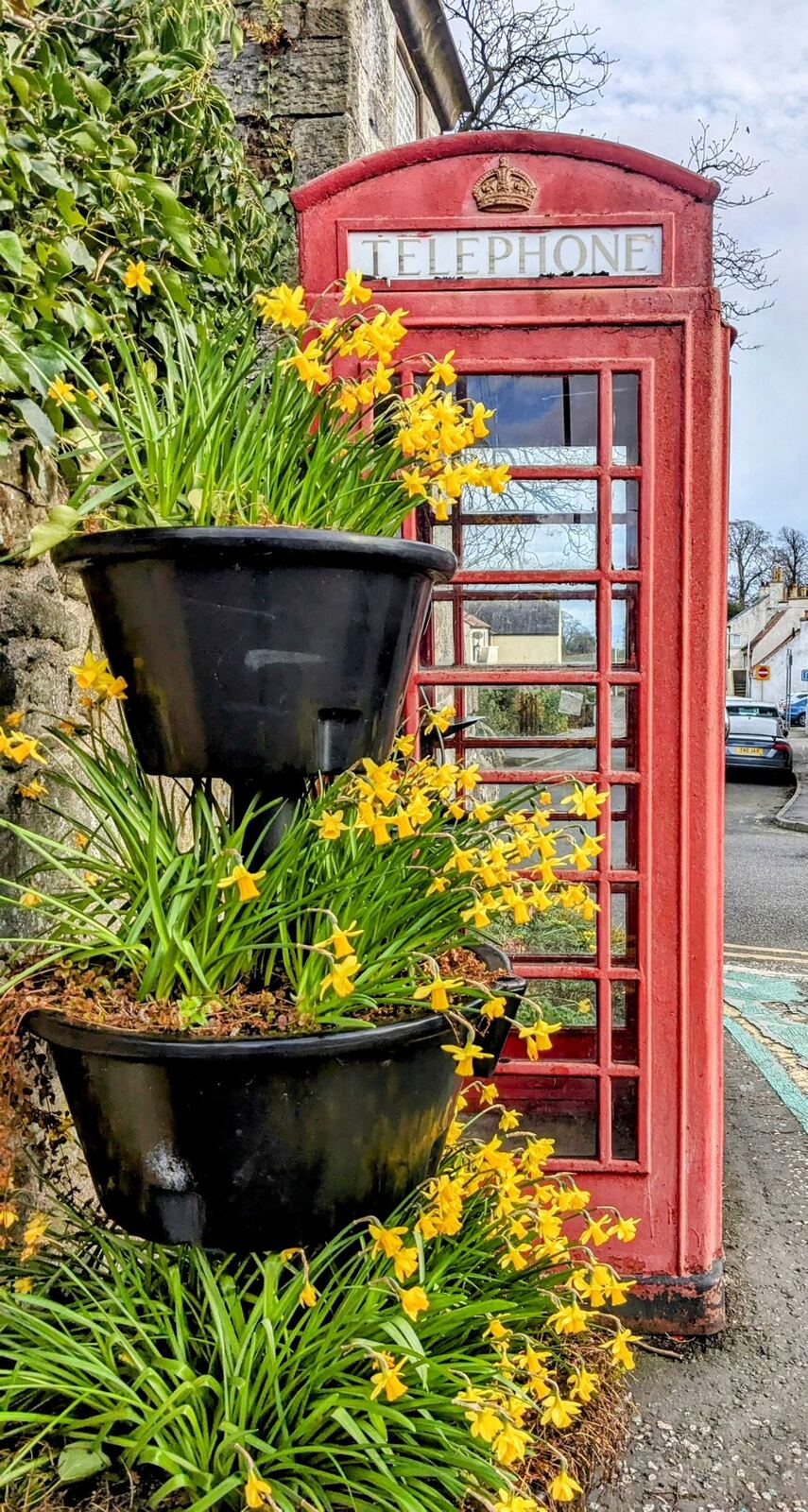 A red telephone box planted up with flowers in Aberdour village.