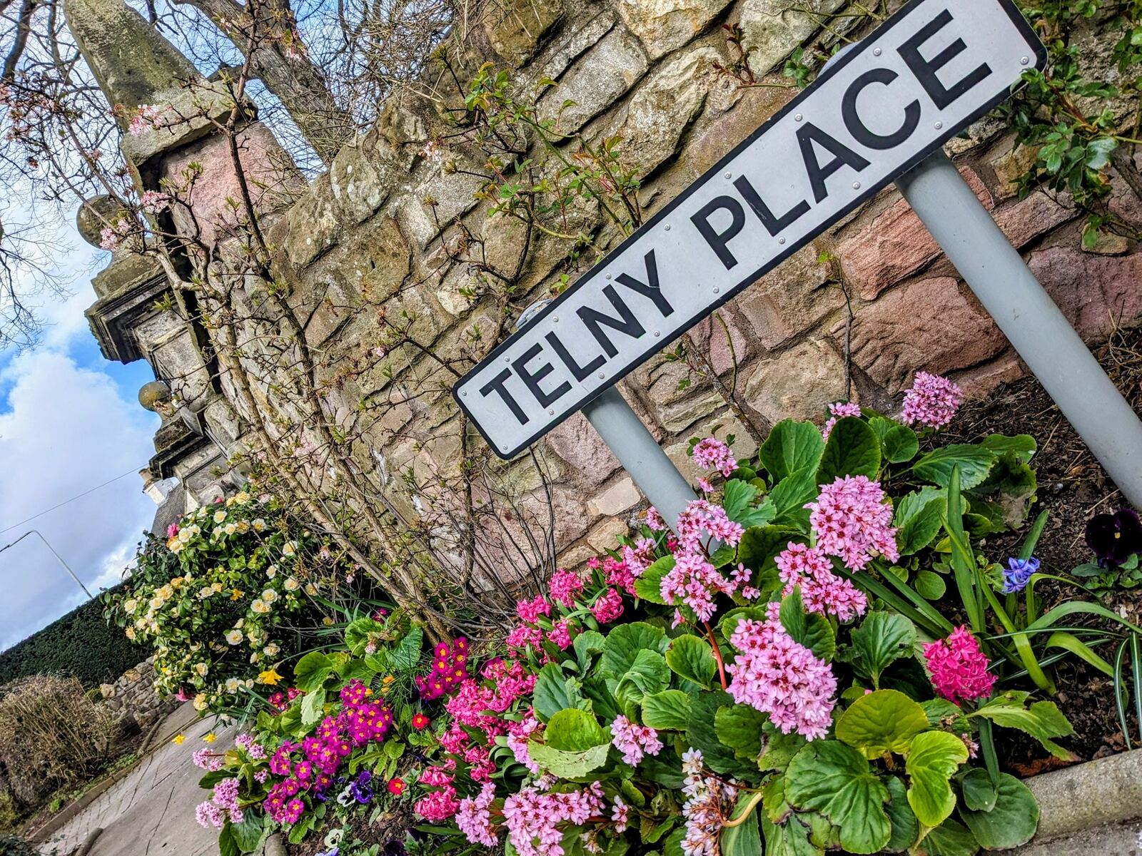 A Telny Place street sign in Aberdour surrounded by hydrangeas.