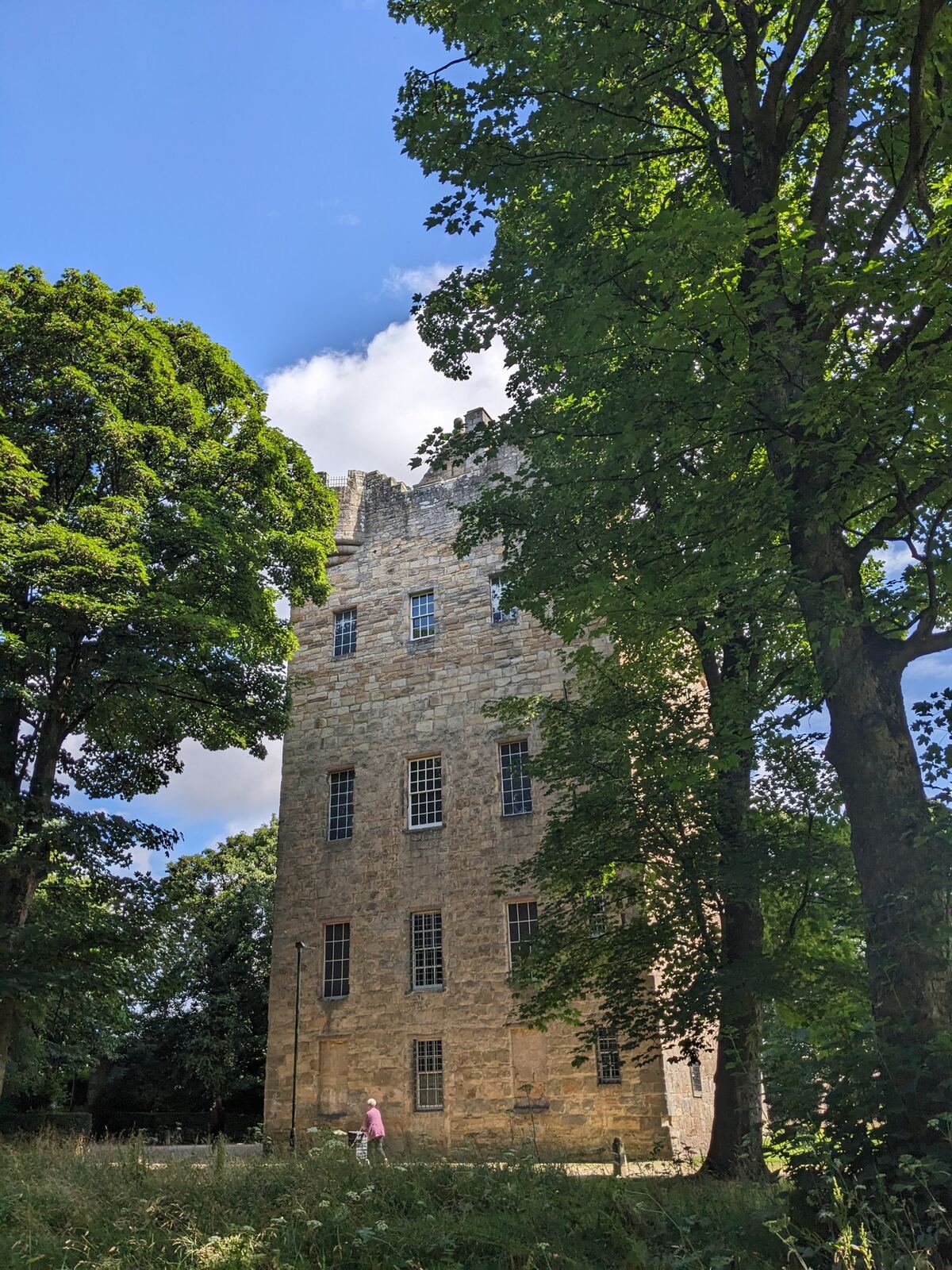 Alloa Tower framed by tall mature trees in its parkland setting.