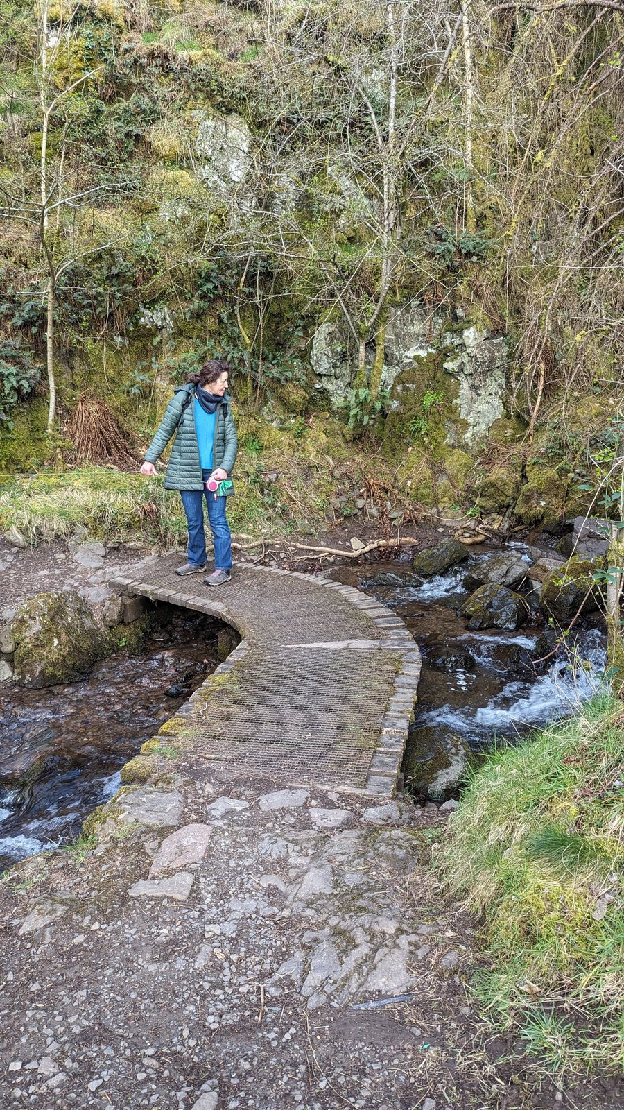 A boardwalk beside the burn in Alva Glen.