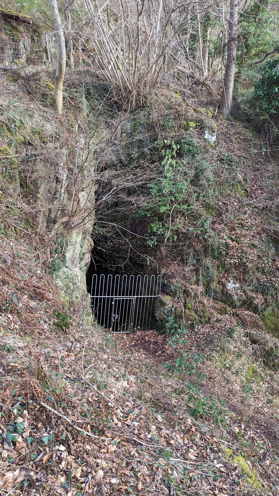 An old mine or cave entrance in Alva Glen.