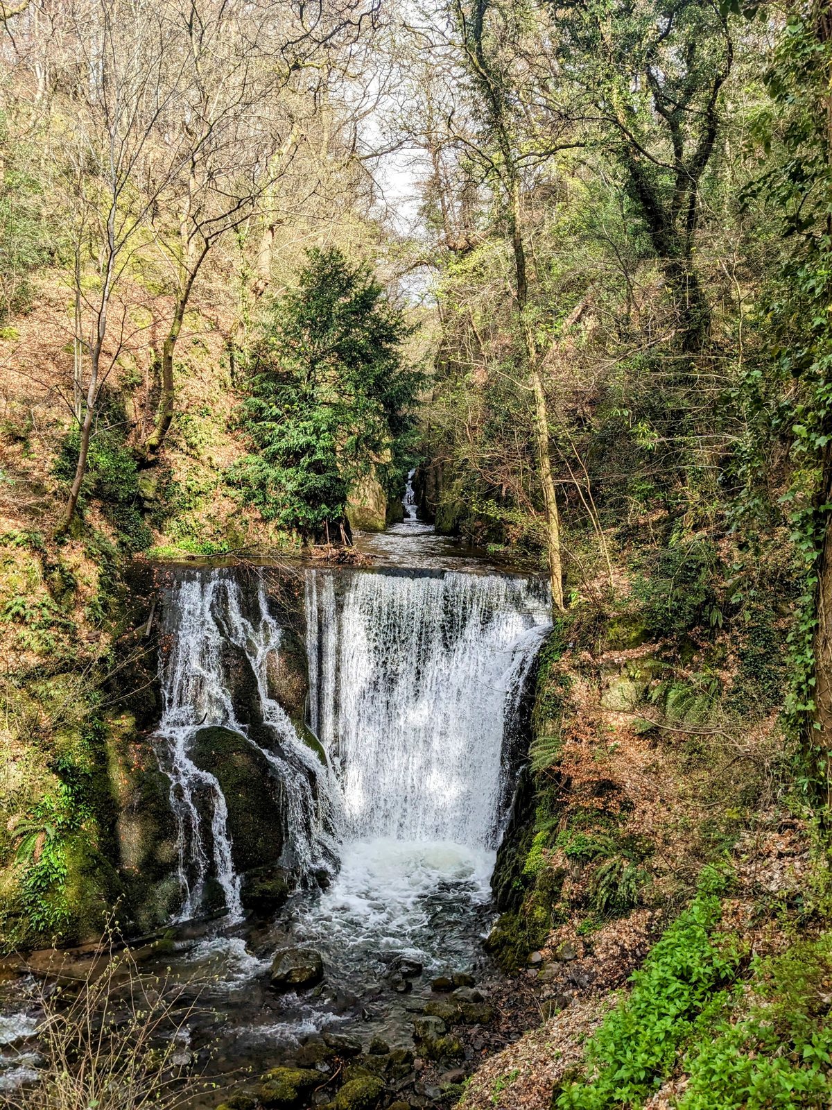 A waterfall in Alva Glen.