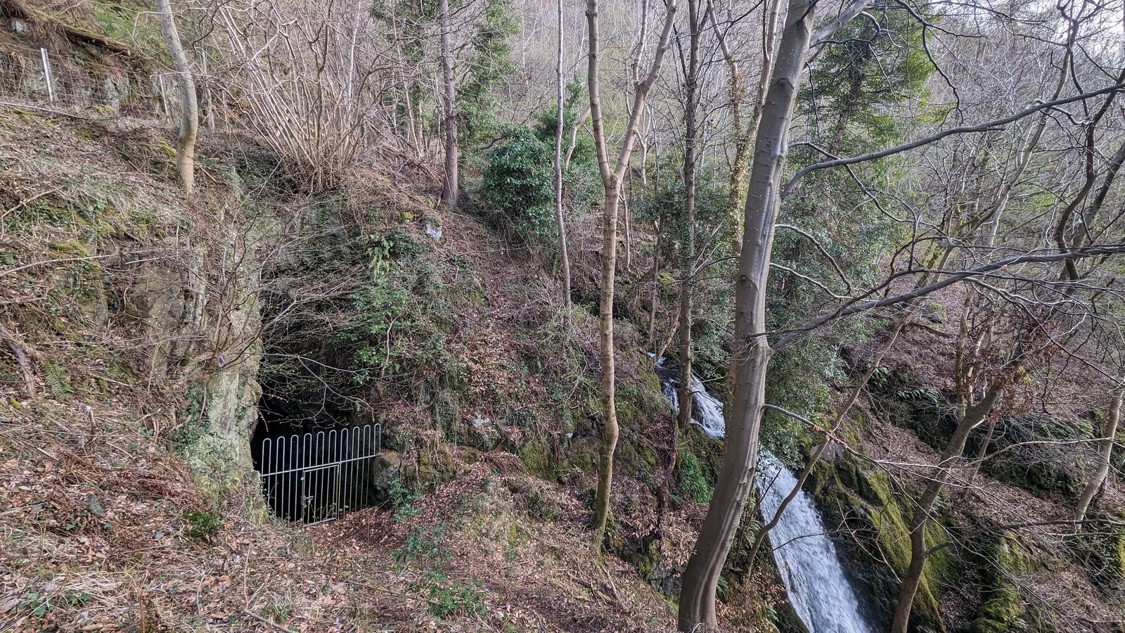 A walkway cut into the gorge wall at Alva Glen.