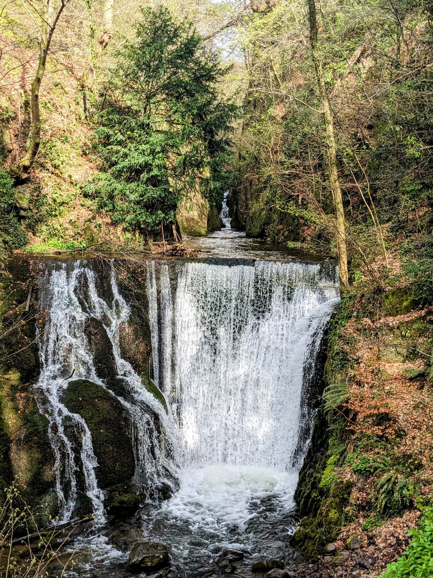 A waterfall tumbling down the gorge in Alva Glen, in the Ochil Hills.