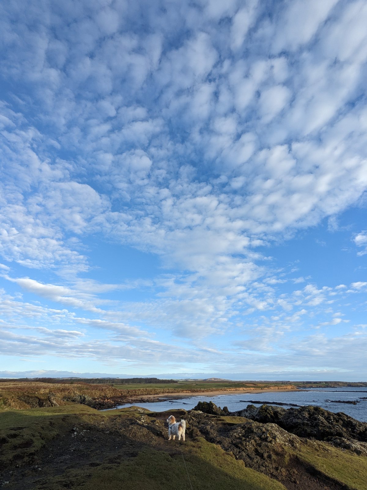 Dawn light along the rocky Fife coast at Anstruther.