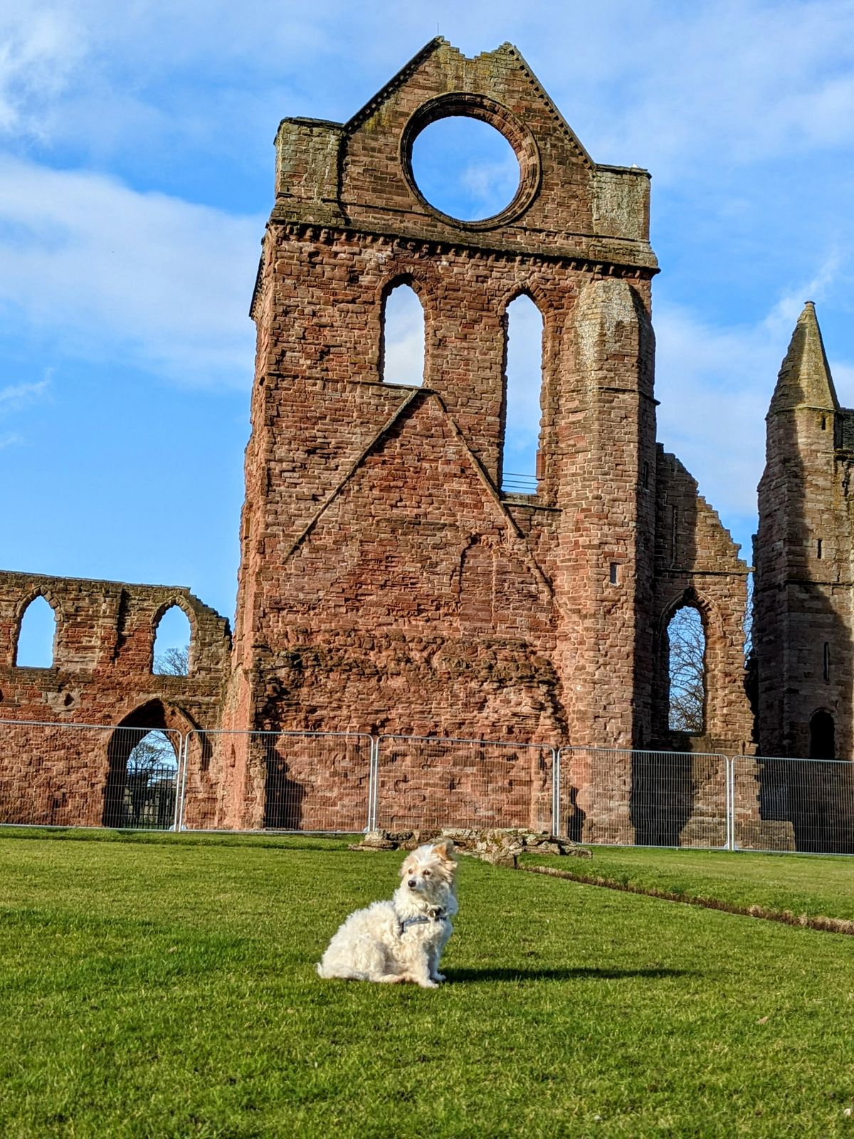 The Round O, the circular window of Arbroath Abbey once lit to guide sailors home.