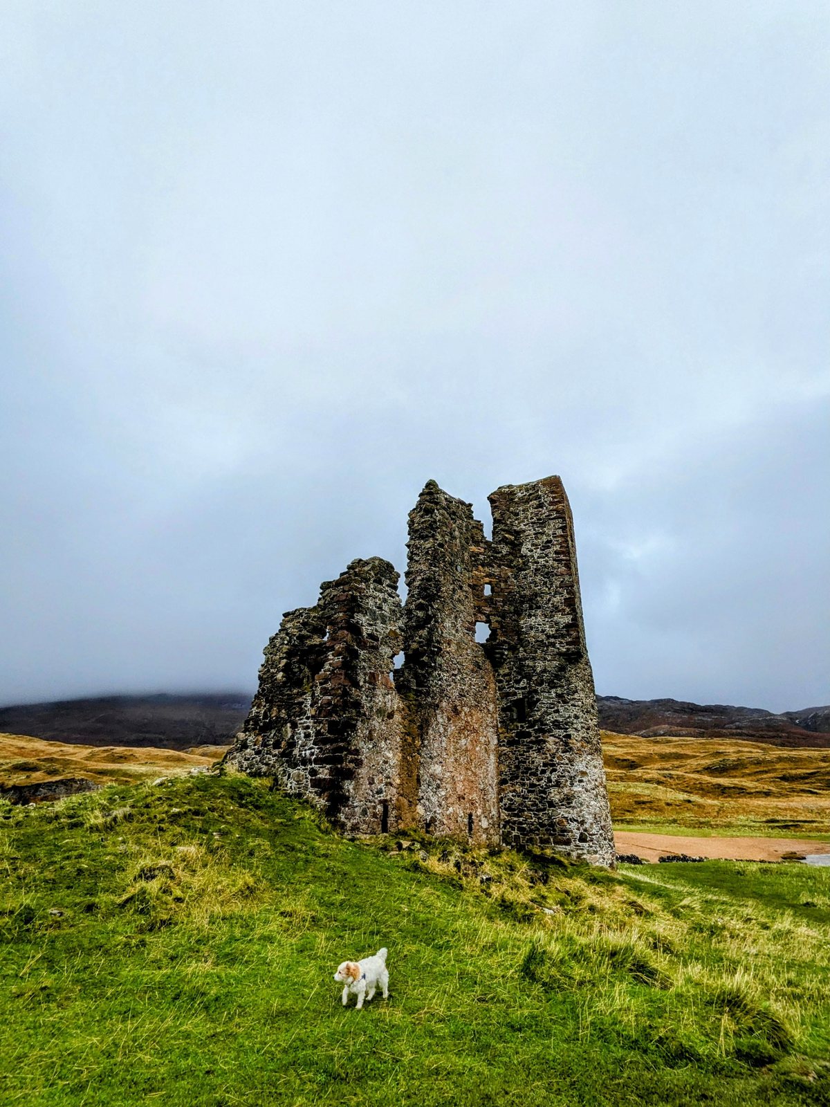 Ardvreck Castle with Lillie the dog on Loch Assynt.