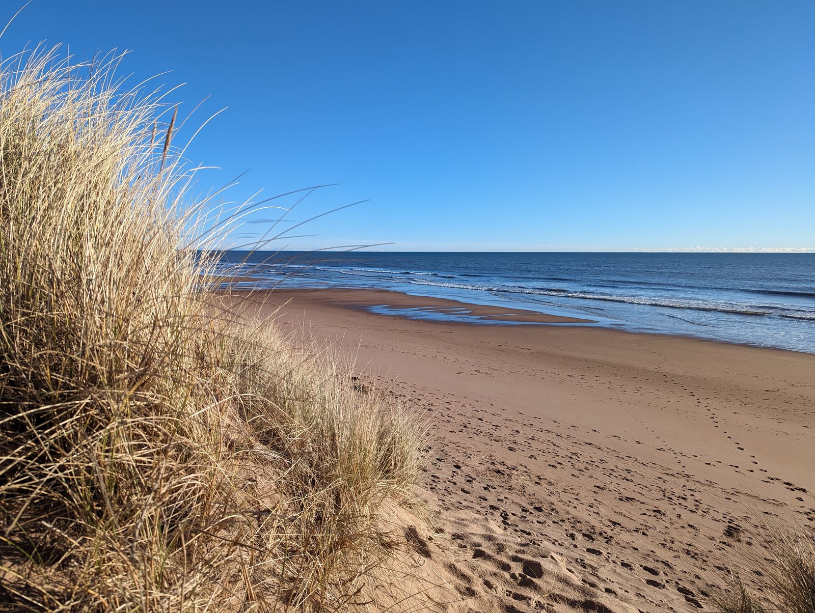 Balmedie beach stretching away to the north.