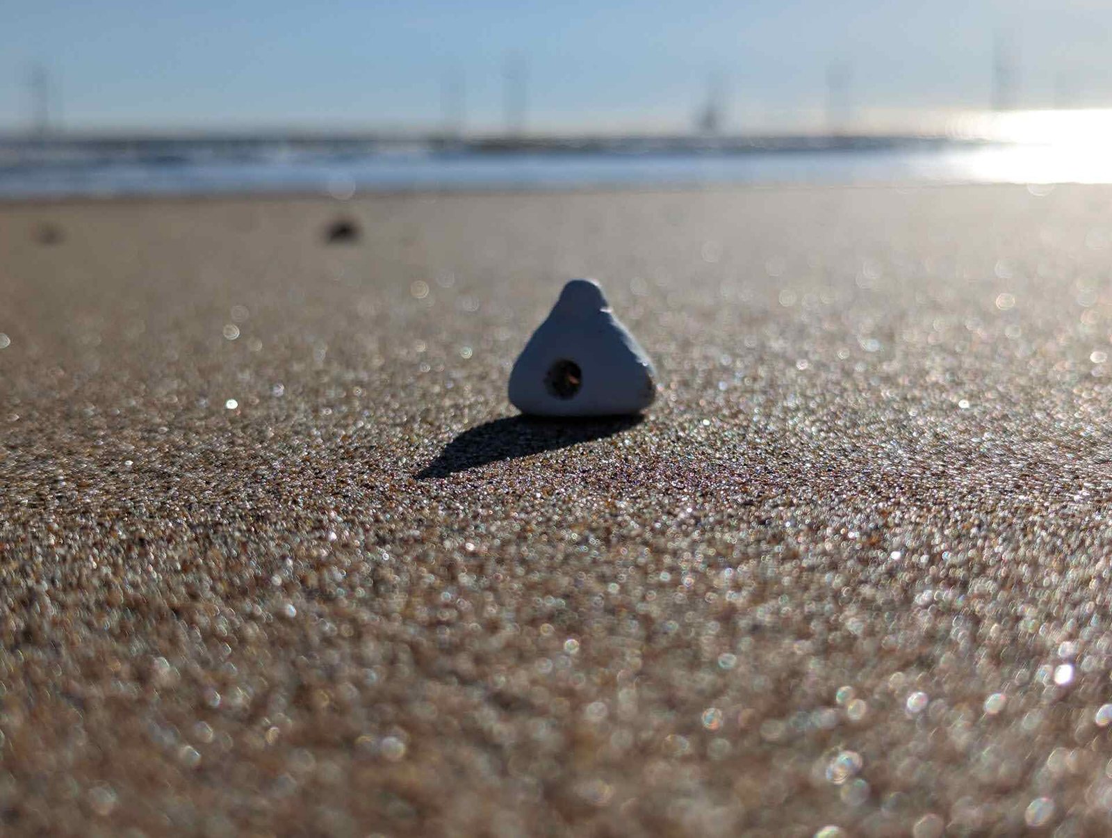 A stone on the shell-sand at Balmedie beach.