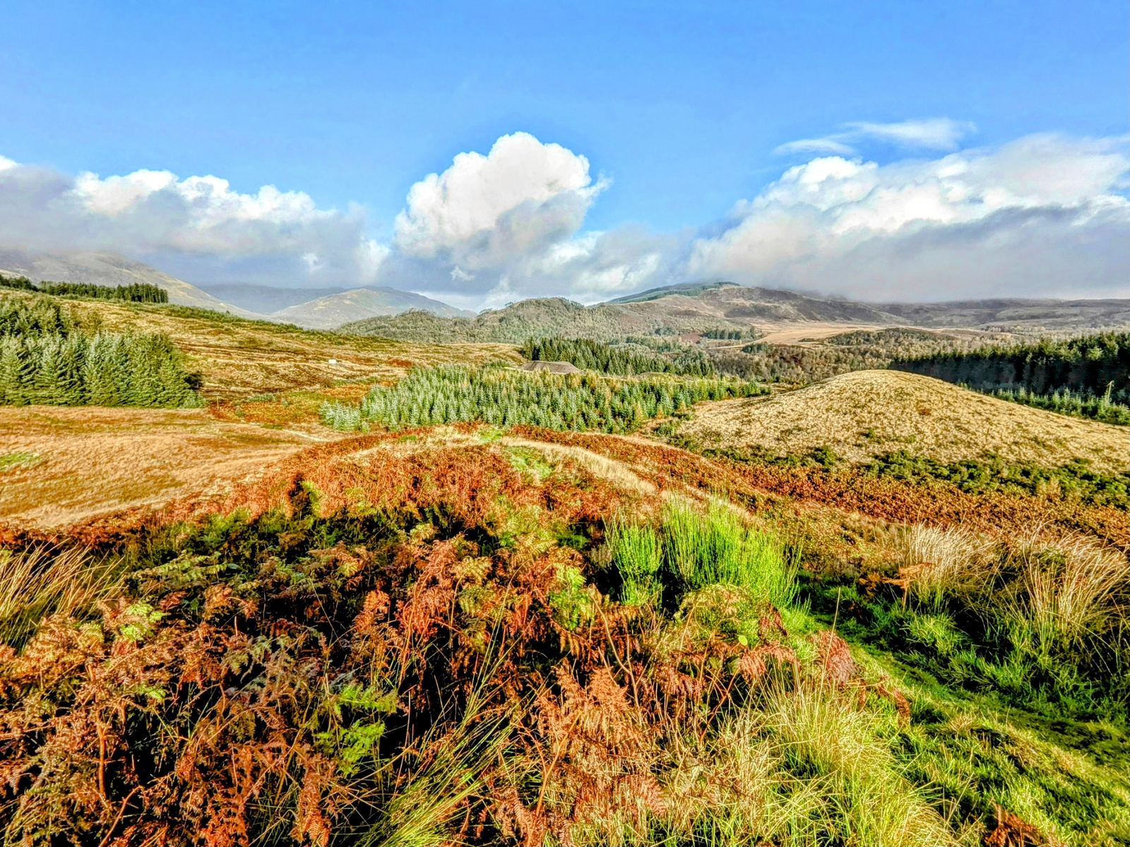A hillside of orange autumn bracken and forest above Callander, Trossachs hills behind under a blue sky.