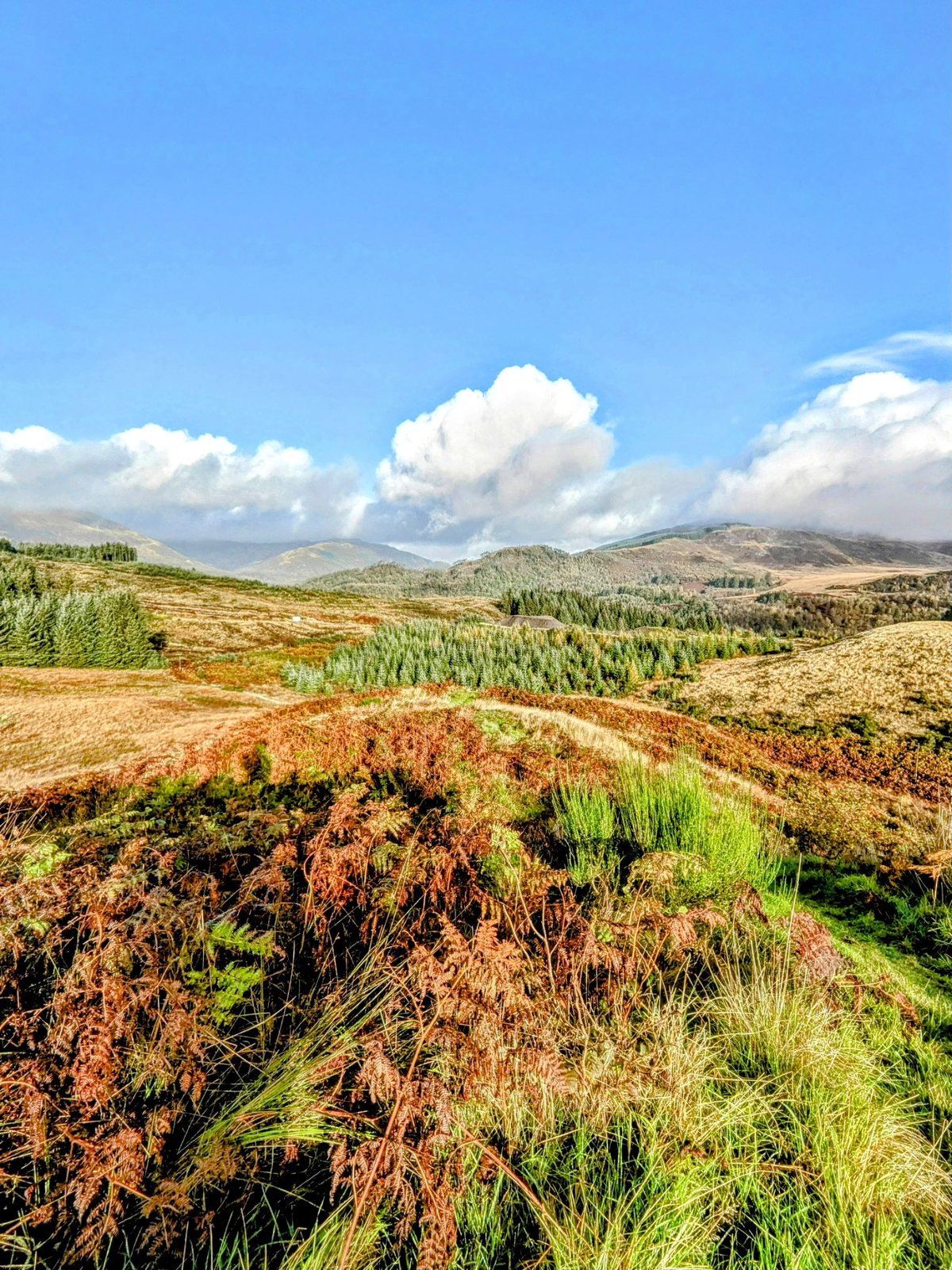 Autumn moorland and hills near Callander.