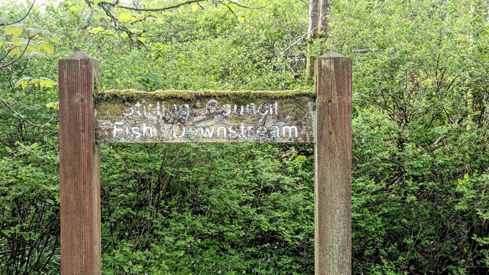 A weathered, moss-covered riverside sign by the River Teith at Callander.