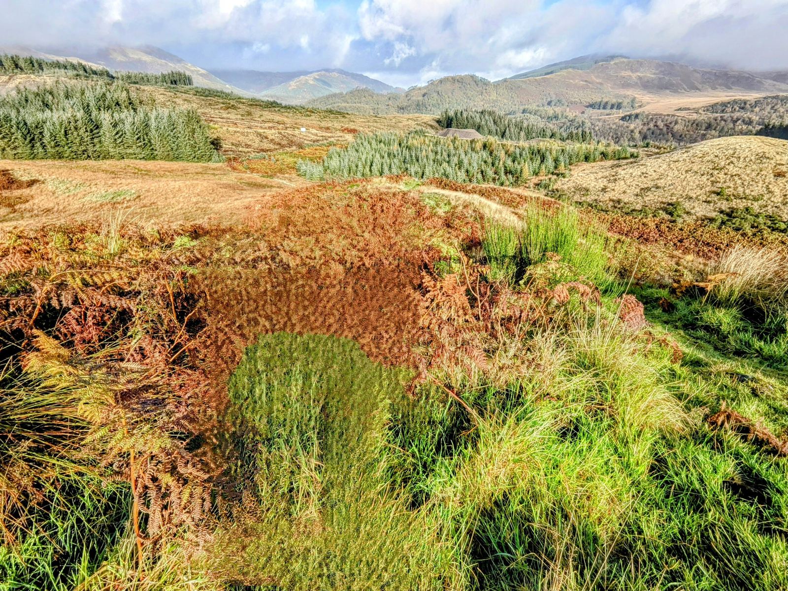 Autumn forest and open moor with the Trossachs hills rising above Callander.