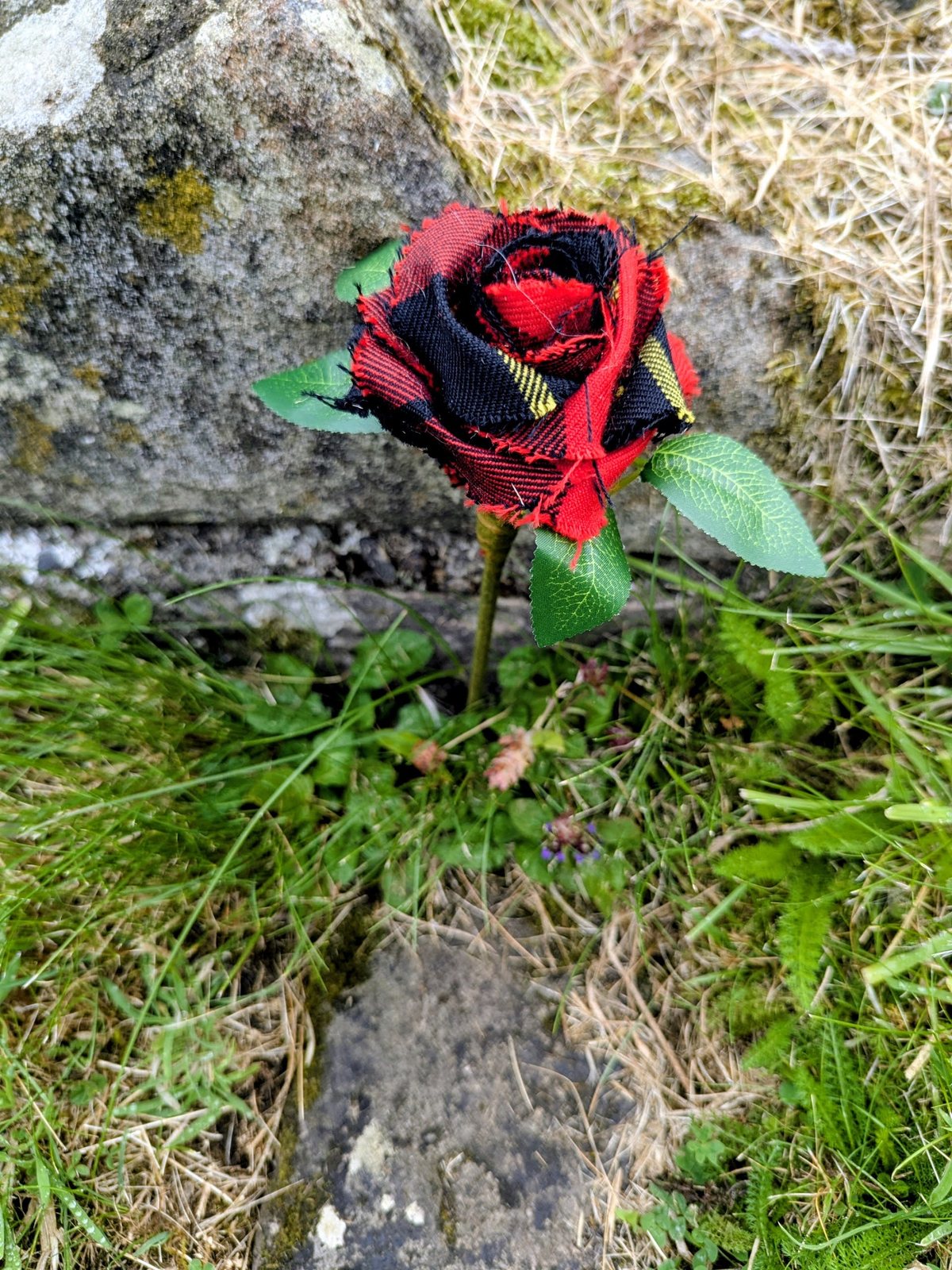 A red tartan fabric rose tucked into the stonework at Cambuskenneth Abbey.