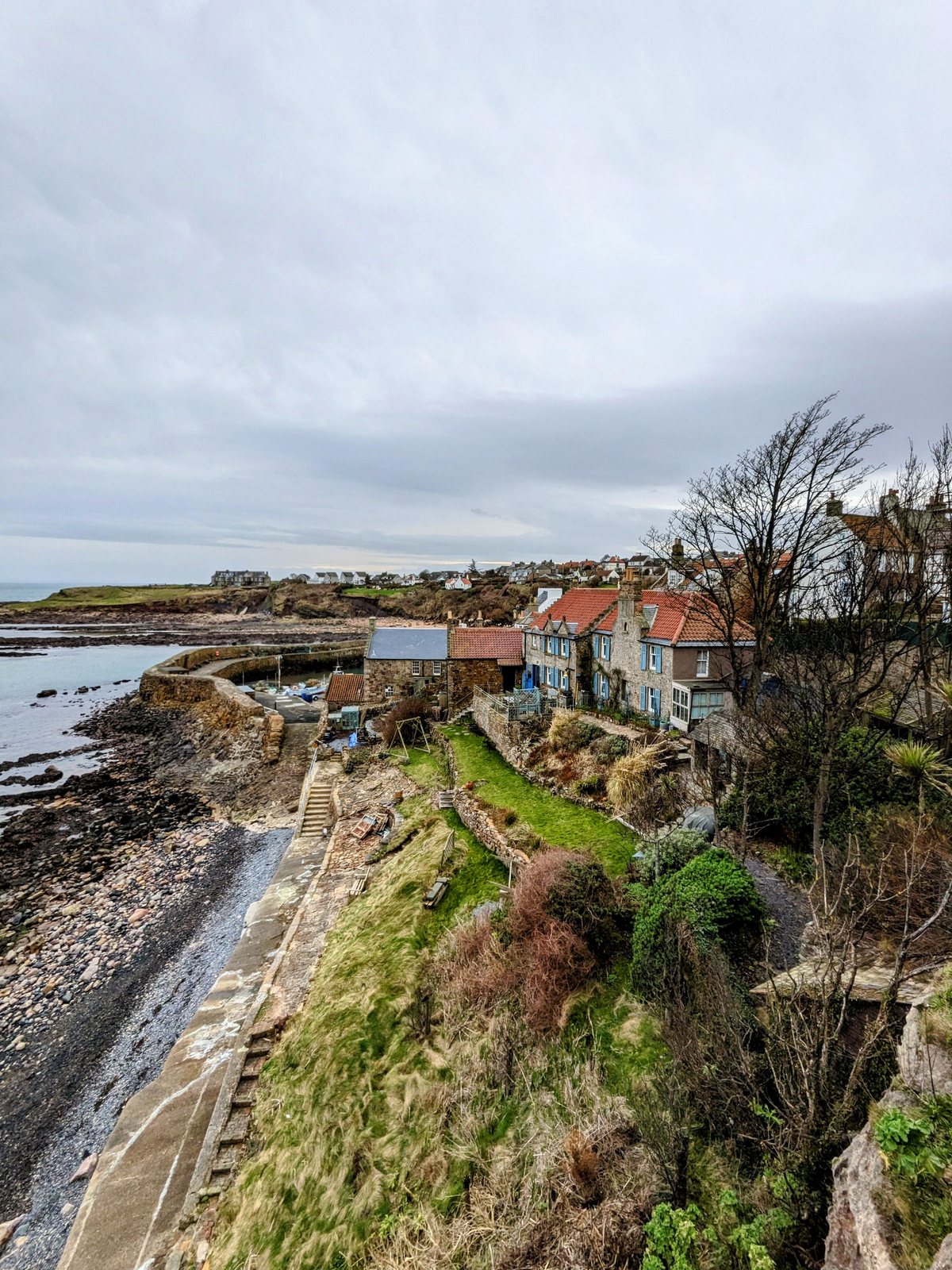 Crail harbour seen from the brae above, cottages tumbling to the sea.