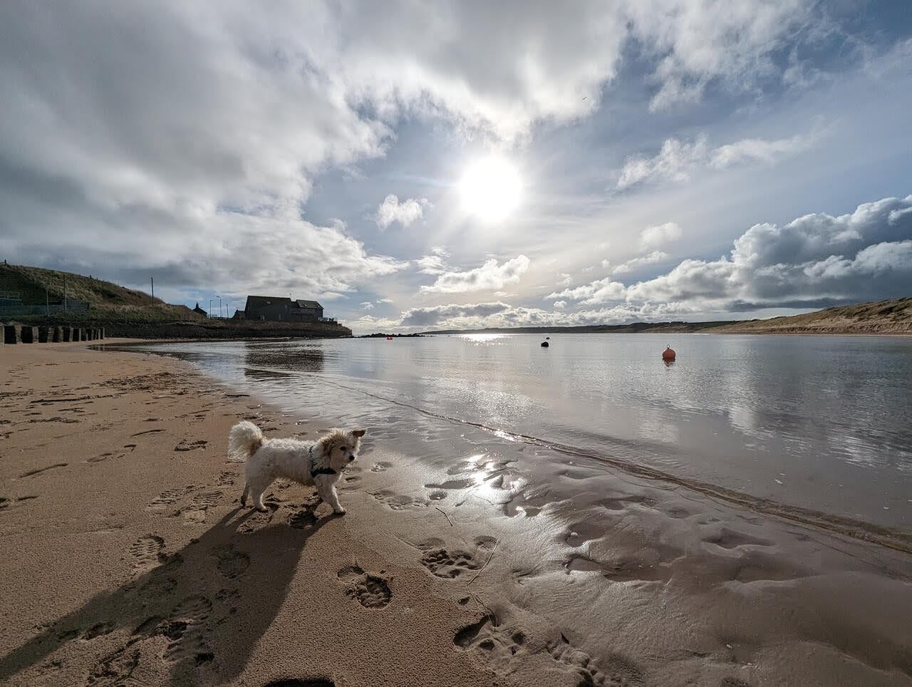 The rocky low-tide foreshore at Cruden Bay.