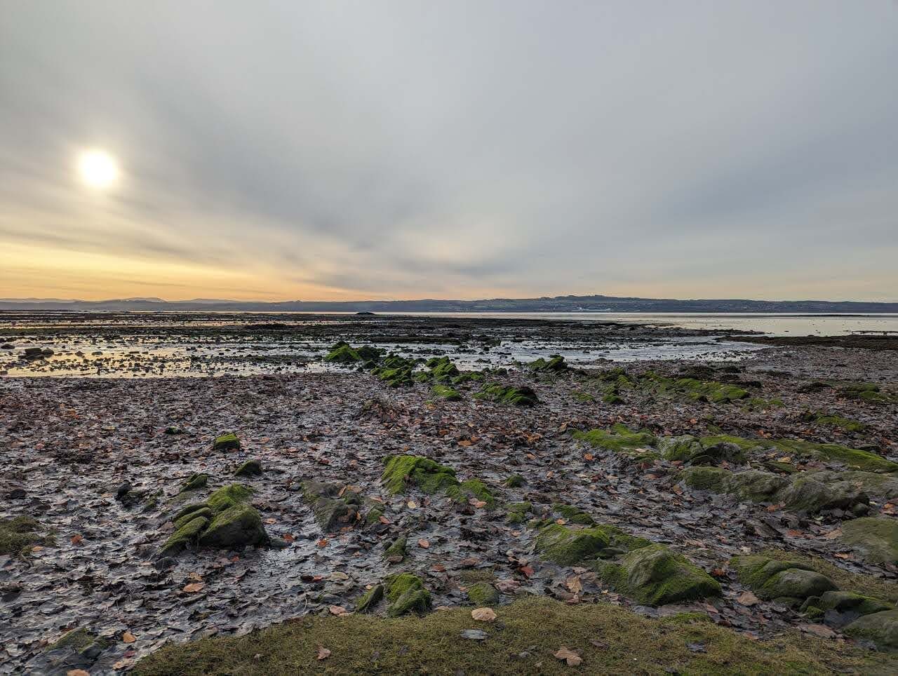 Sunset over the Firth of Forth from the foreshore at Culross, seaweed-covered rocks in the foreground.