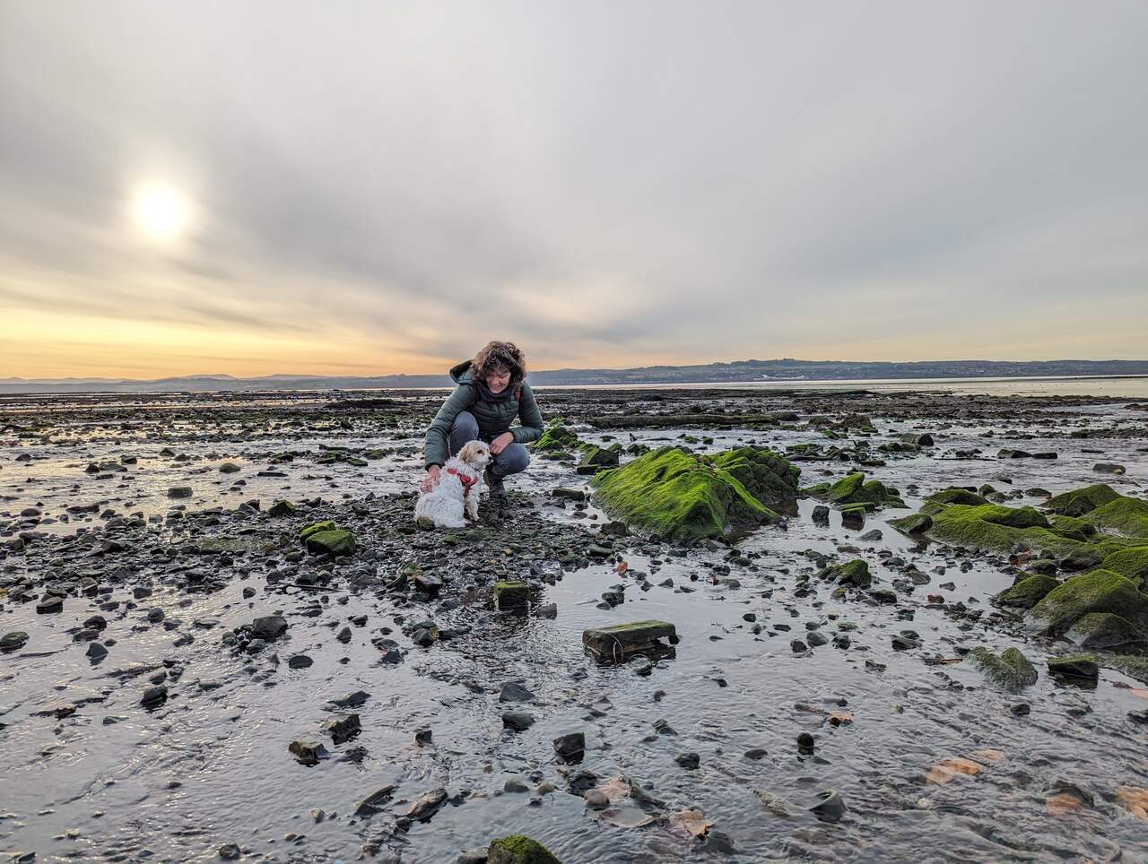 A woman beachcombing on the Firth of Forth foreshore at Culross at low tide, sunset sky.