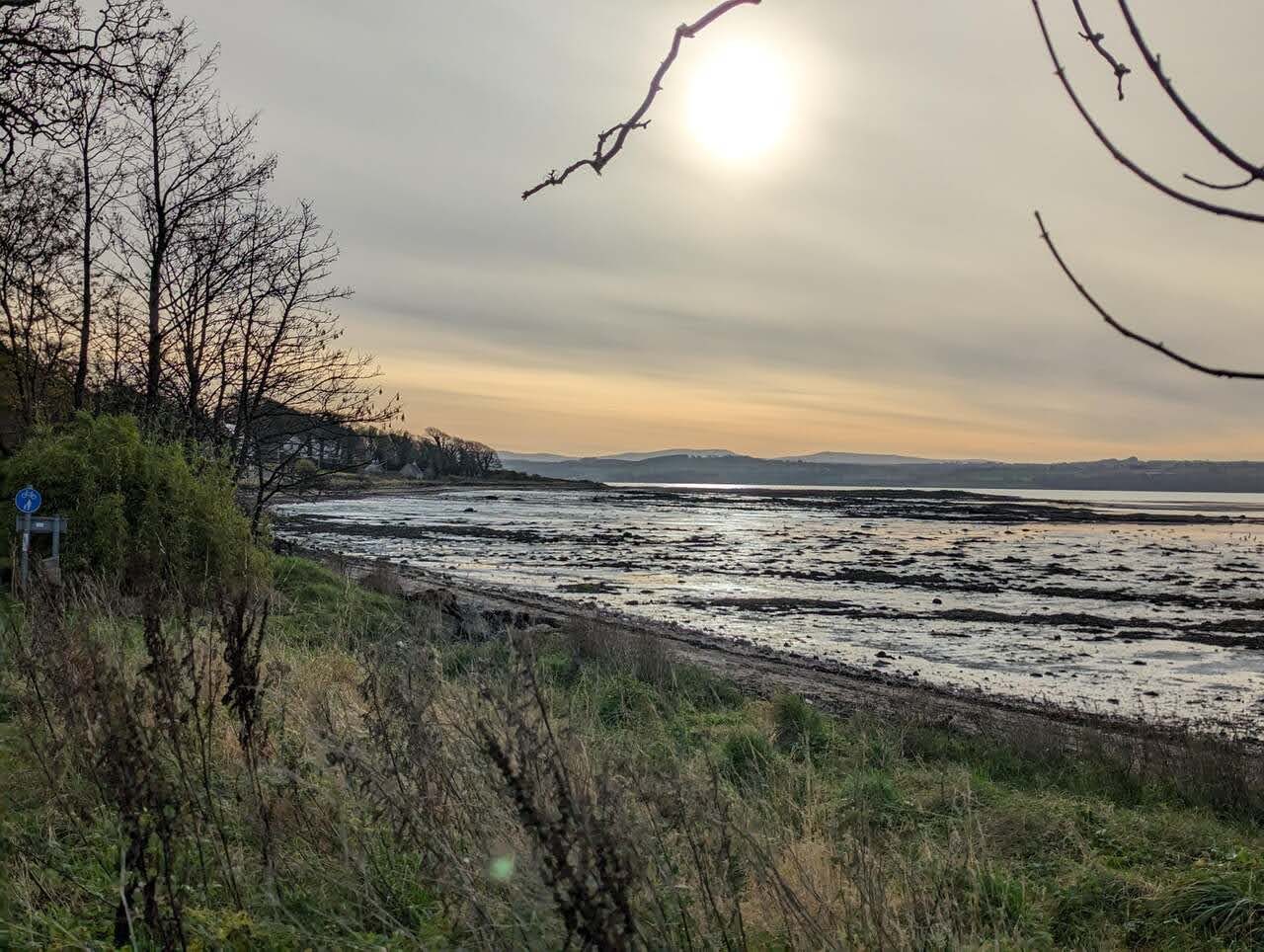 A shore path beside the Firth of Forth at Culross at sunset, trees alongside and the water beyond.