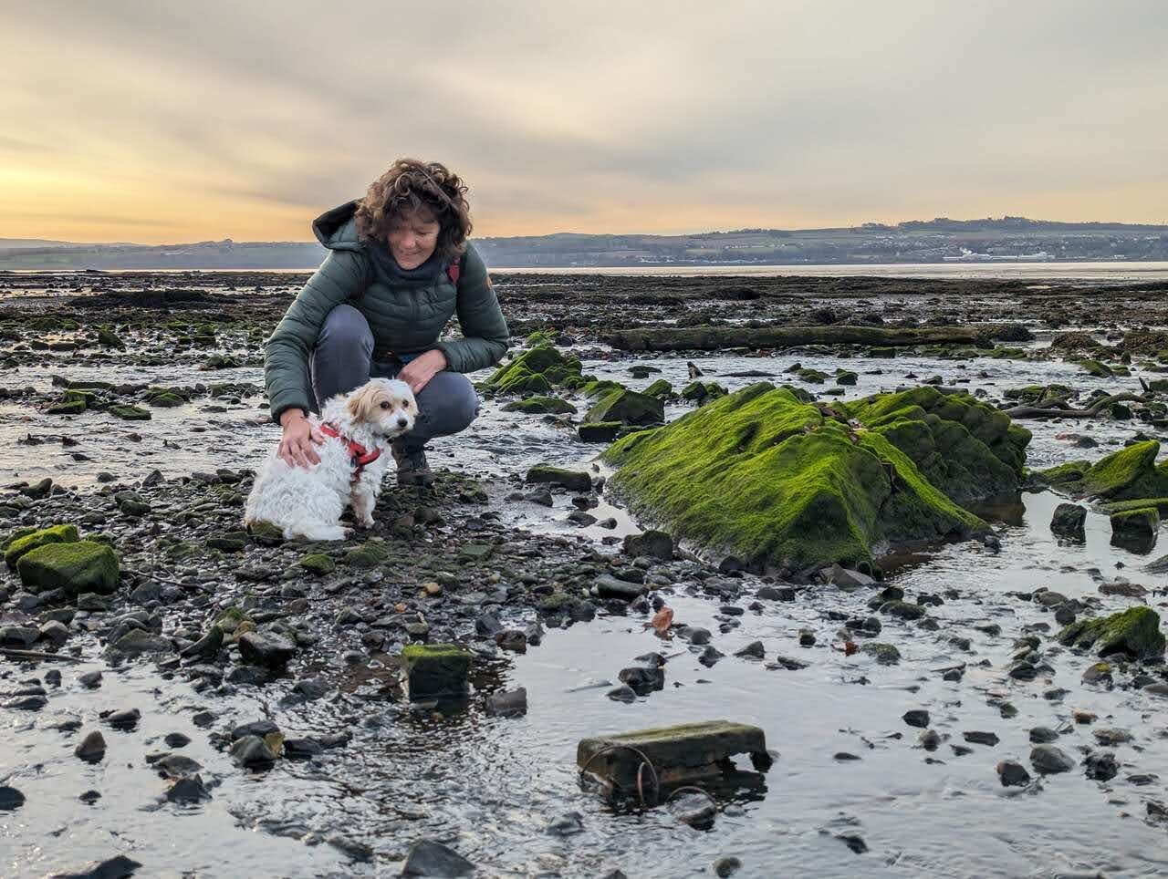 Lillie the dog on the seaweed-covered rocks of the Forth shore at Culross.