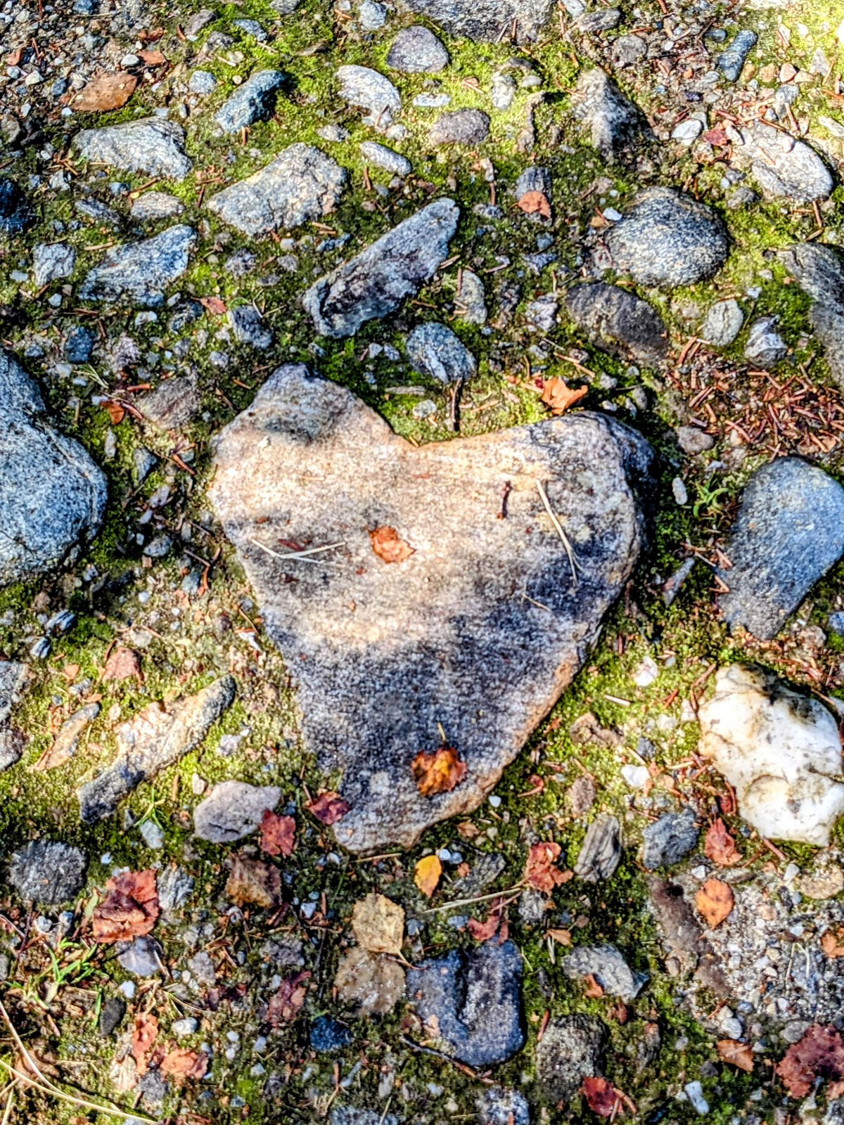 A heart-shaped stone among the pebbles at Dalrigh