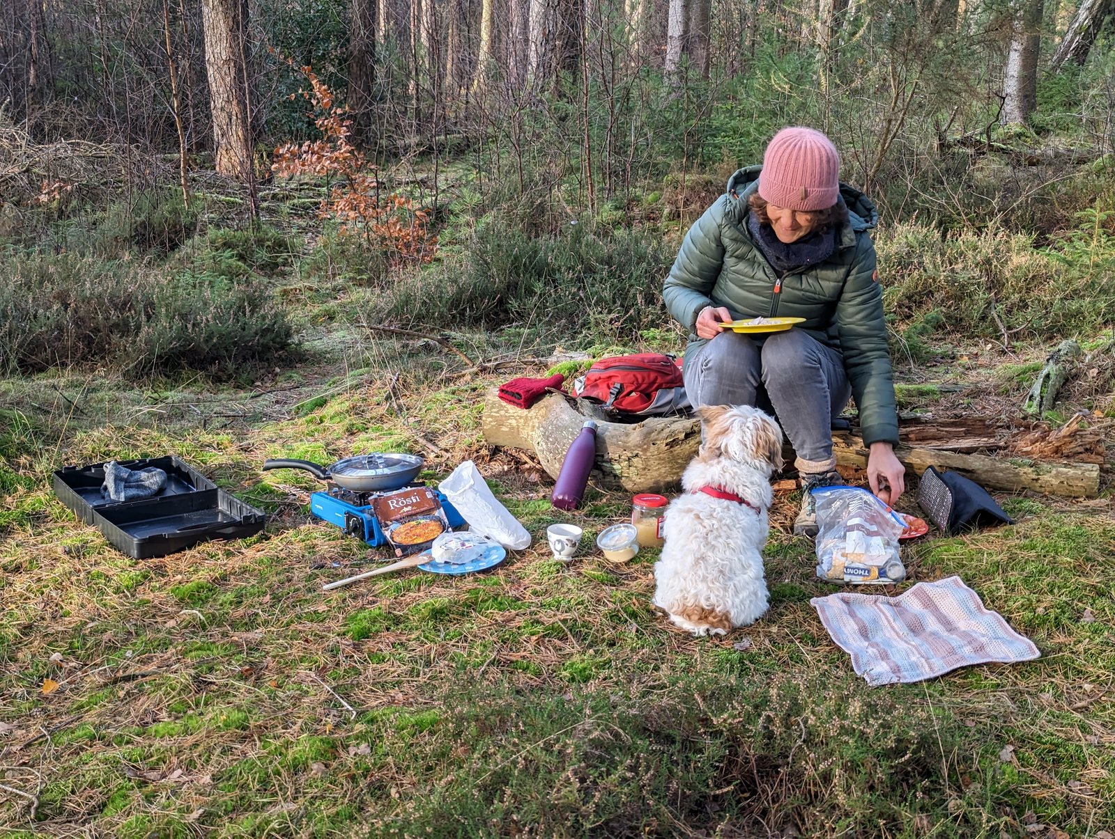 A picnic laid out on the forest floor at Devilla with Lillie the dog.