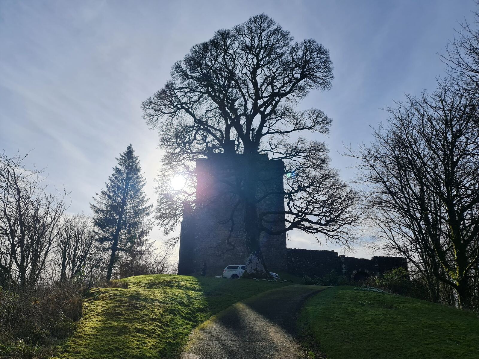 A stone monument on a green mound with a large bare tree silhouetted against the sun, up the Devon valley near Dollar.