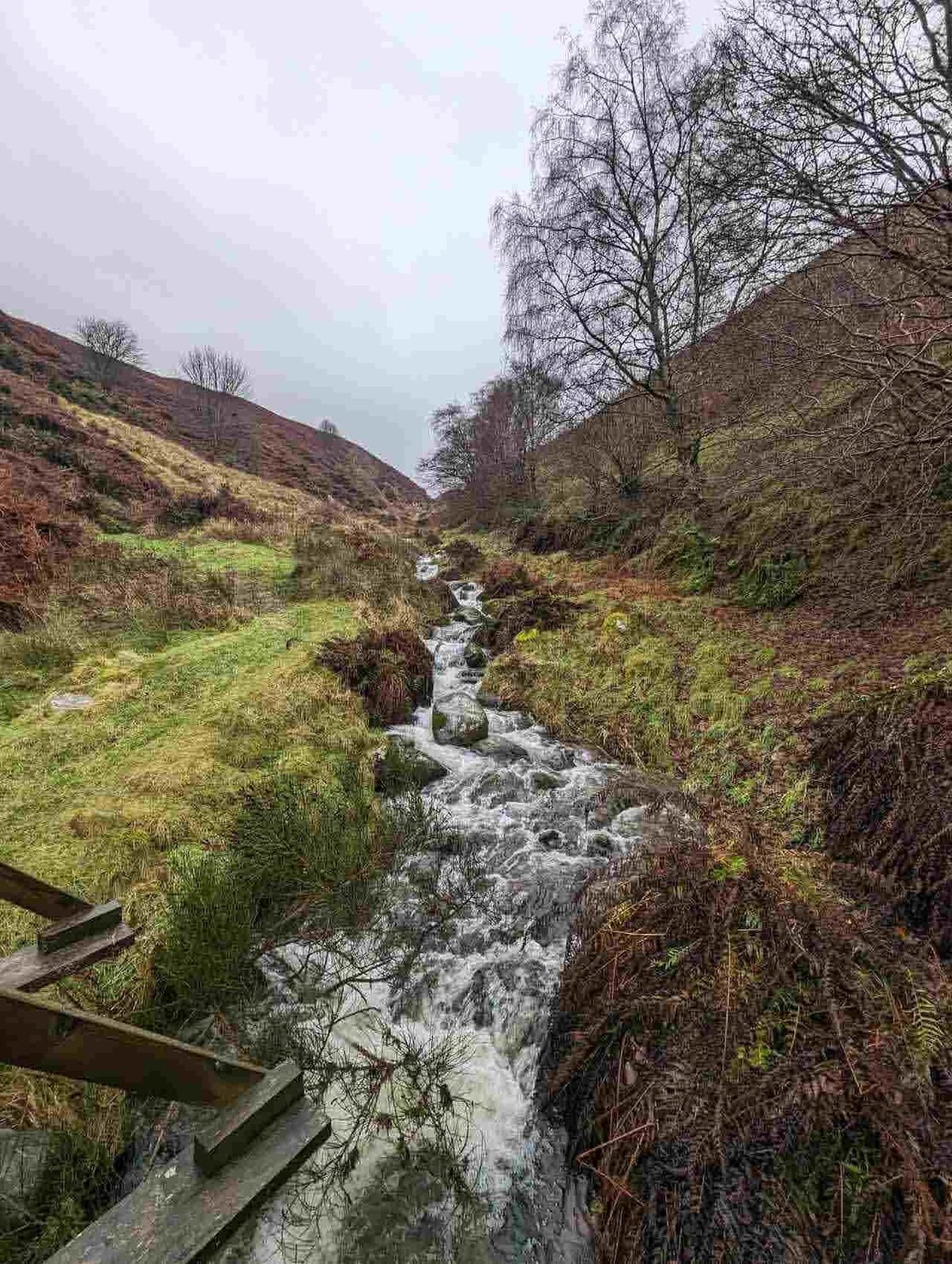 The burn cascading over rocks down the wooded Dollar Glen.