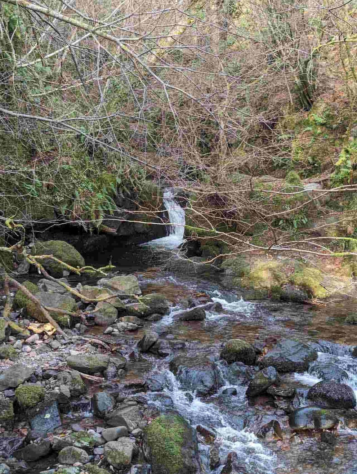 A waterfall tumbling through the mossy rock gorge of Dollar Glen.