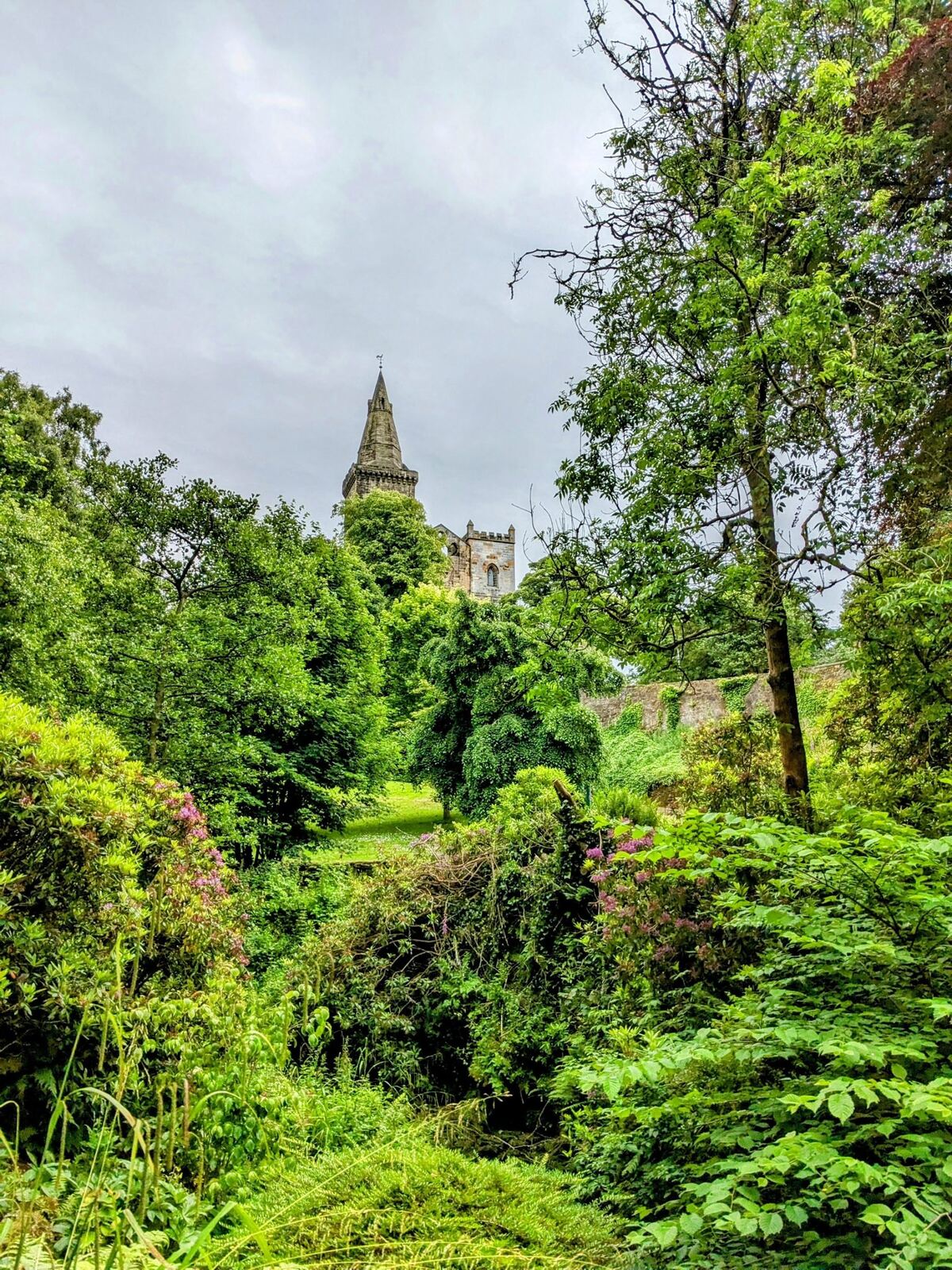 The tower of Dunfermline Abbey seen from the glen.