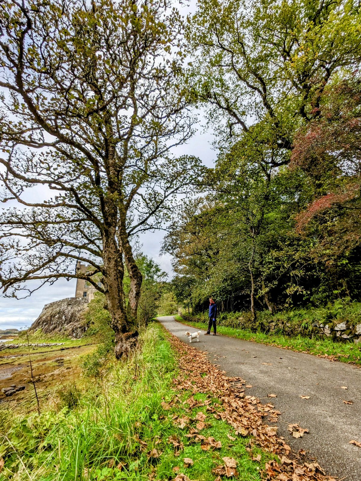 Flowers and paths in the gardens at Dunvegan Castle.