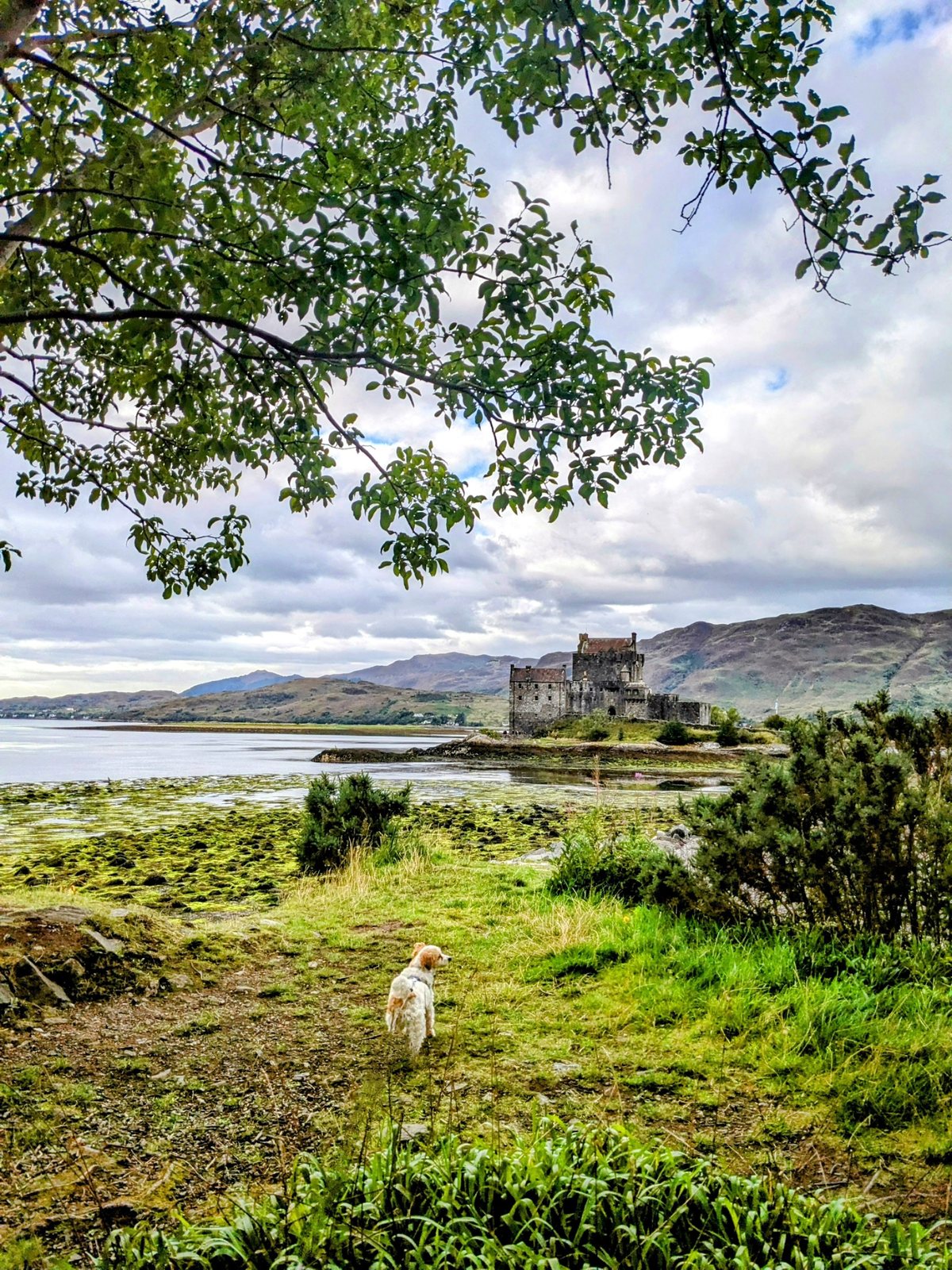 Eilean Donan Castle on its island under a big sky.