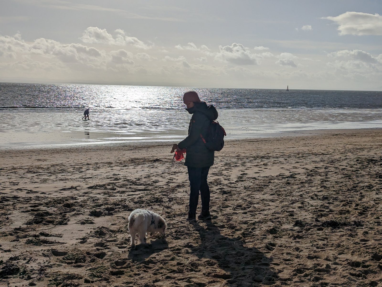 A beach walk with Lillie the dog on the sands at Elie.