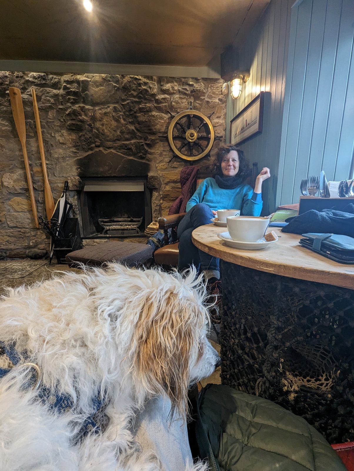 Lillie the dog stretched out by the fire at Elie.