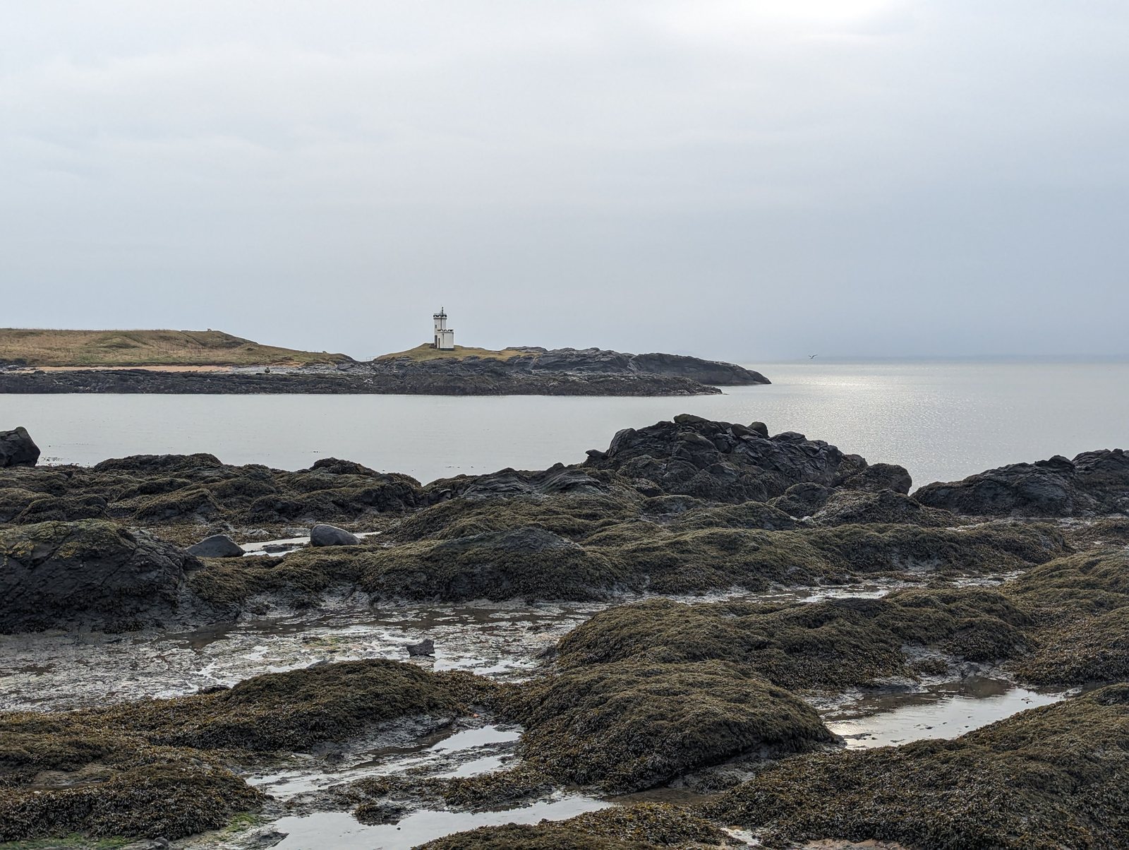The lighthouse across the rocks at Elie Ness.
