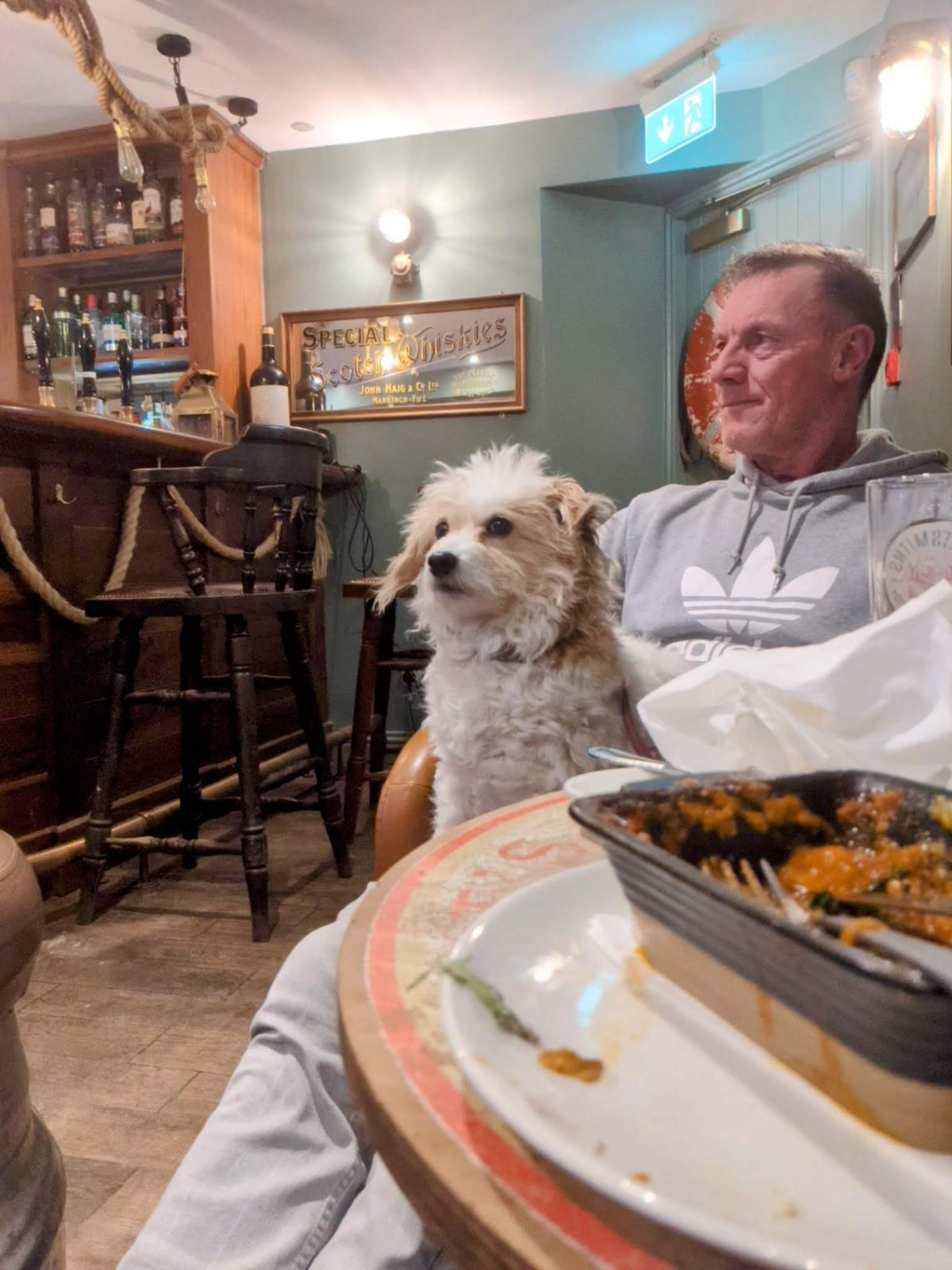 Lillie the dog welcome by the fire at the Ship Inn, Elie.