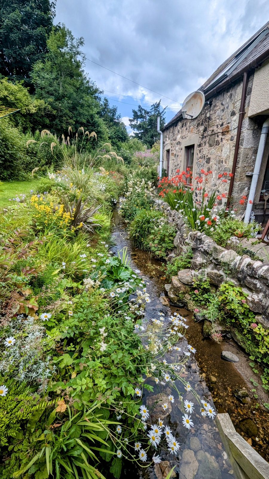 A burn running through wildflower gardens at Falkland.