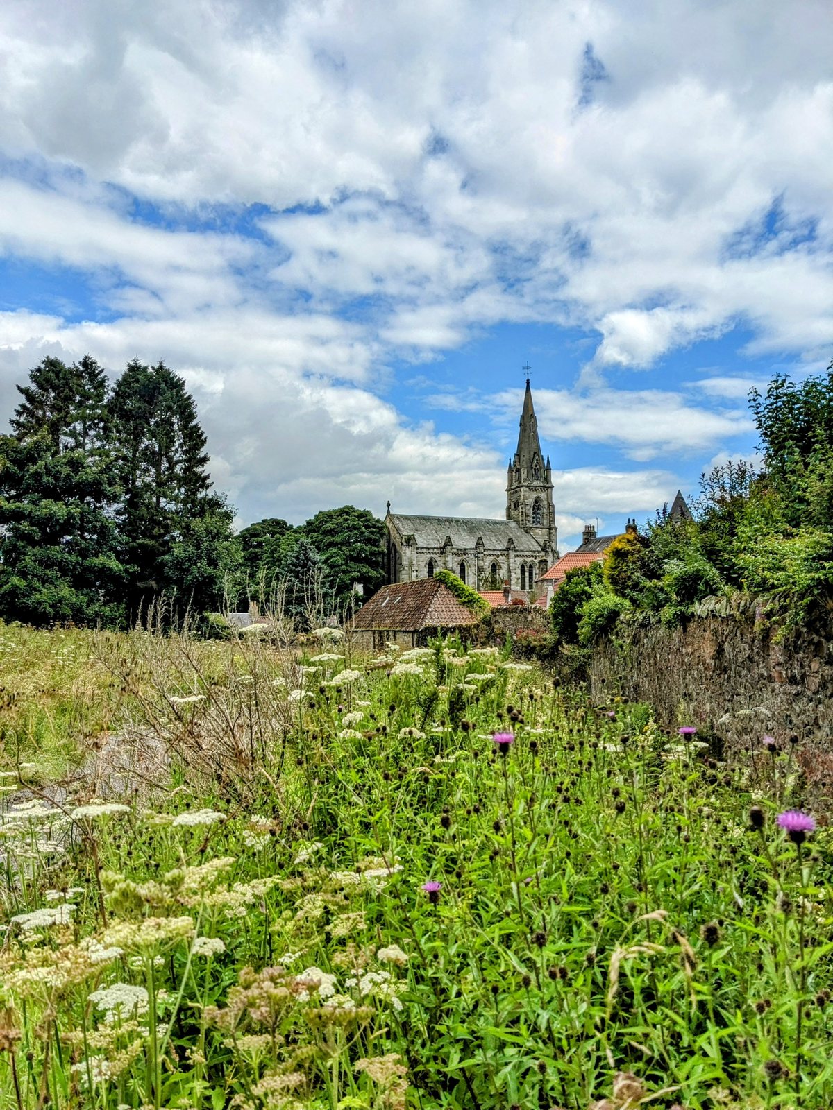 The spire of Falkland Parish Church above village gardens.