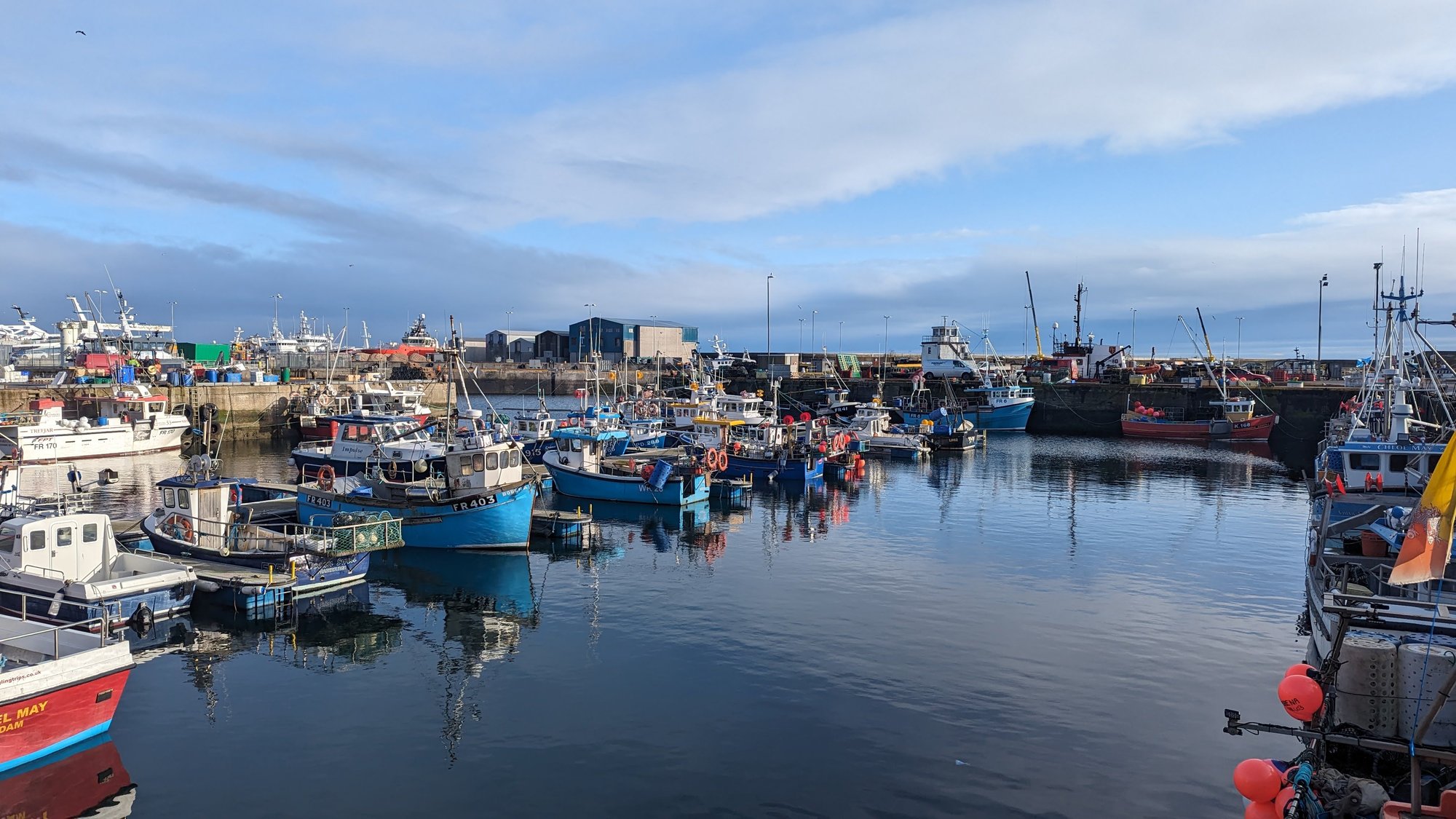 The busy fishing harbour at Fraserburgh, blue boats reflected in calm water.