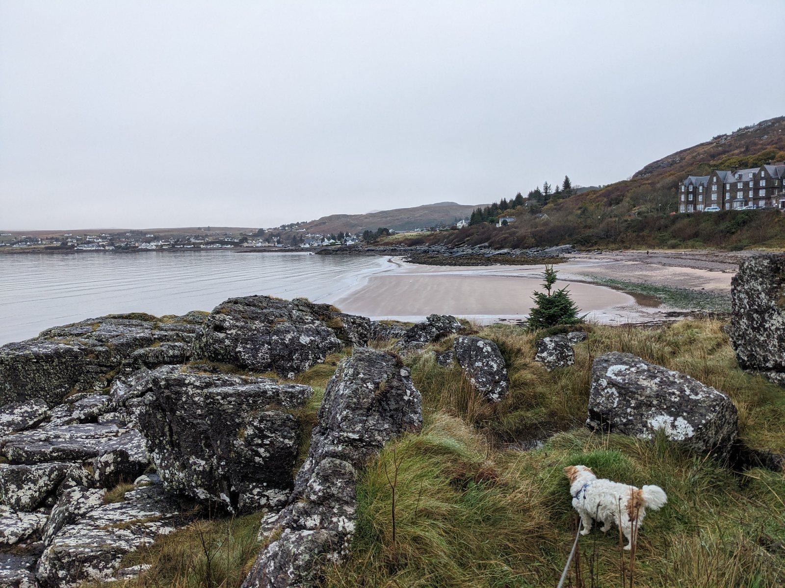 A sandy beach and rocks at Gairloch with Lillie the dog.