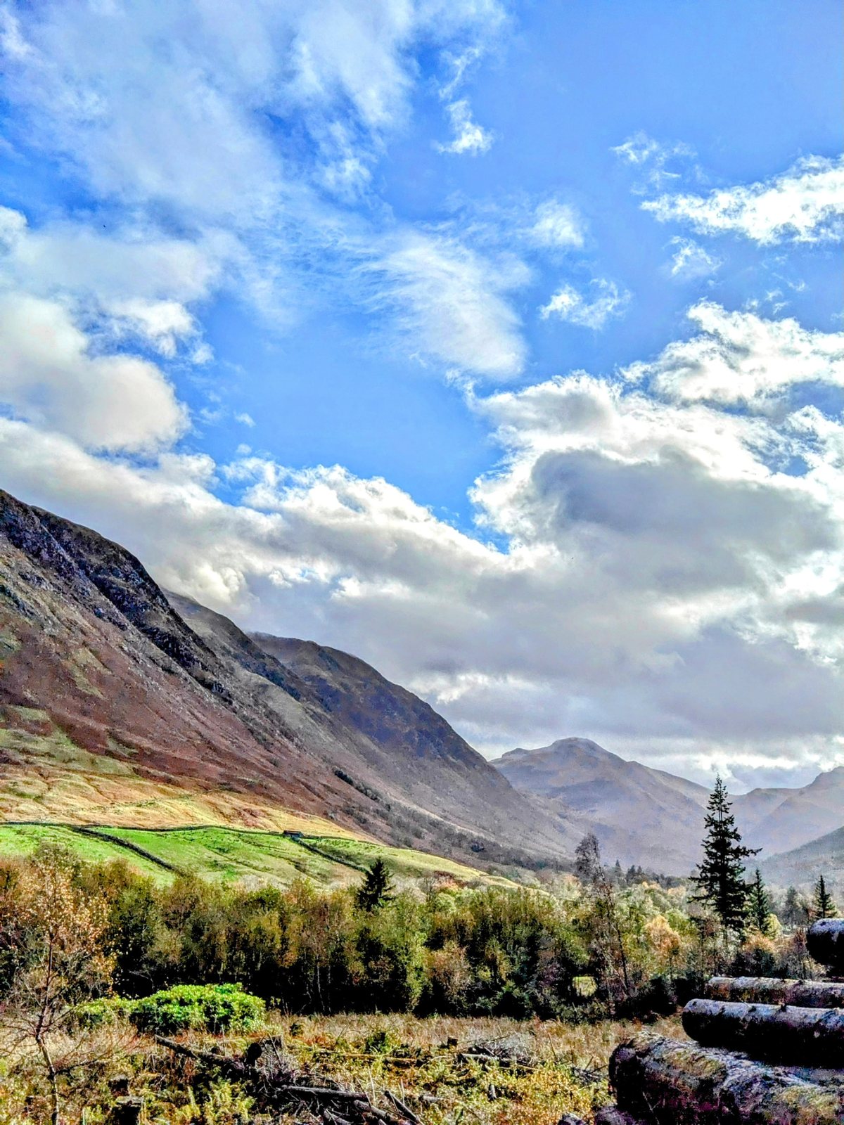 The green floor of Glen Nevis.