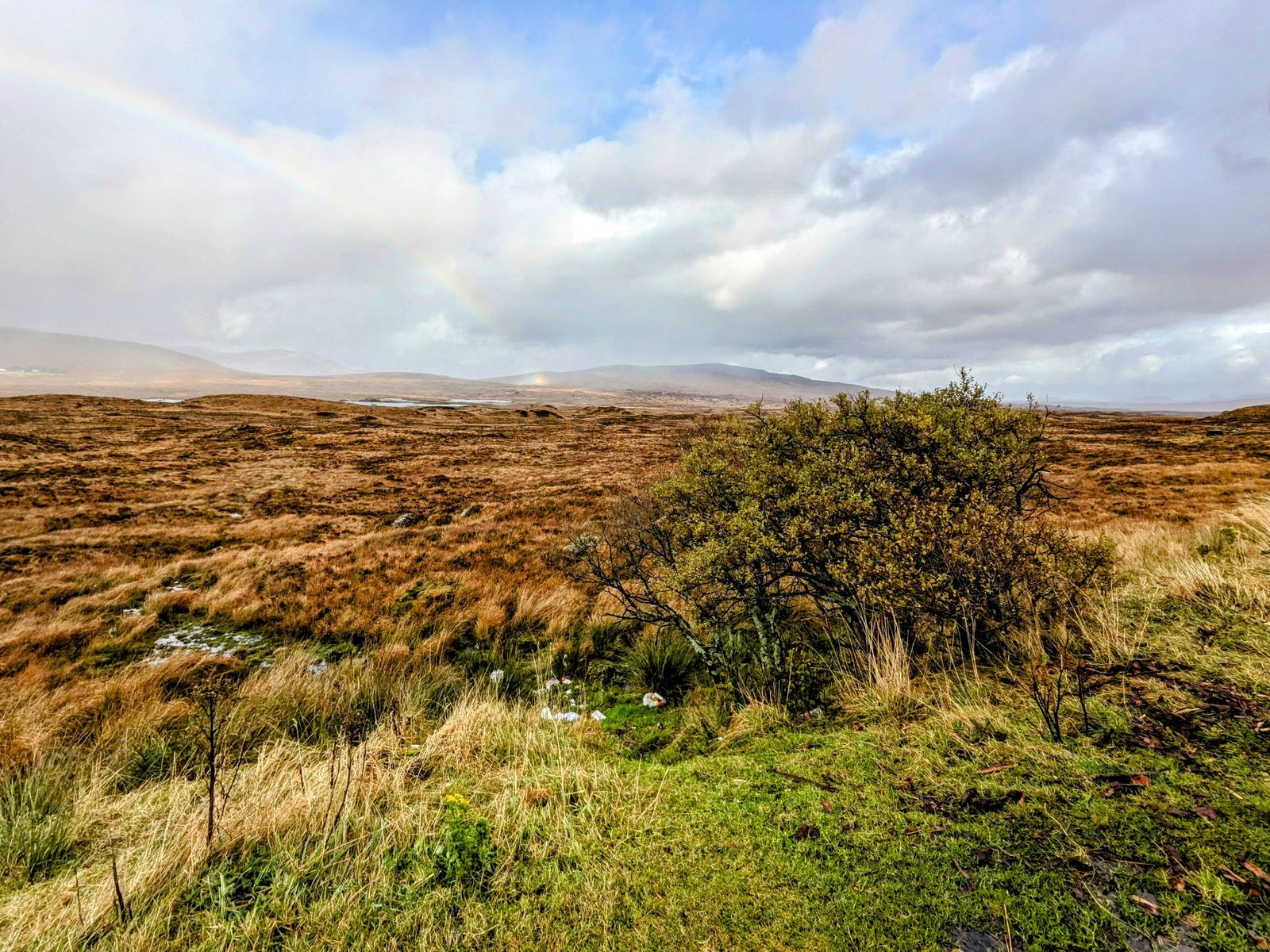 A rainbow over the wide golden expanse of Rannoch Moor, distant hills beyond, on a showery autumn day.