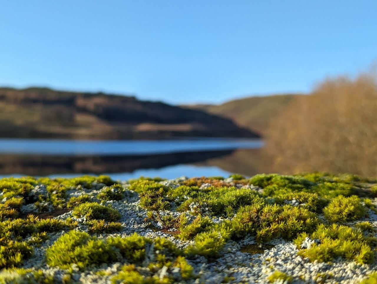 Calm water and low hills at a Glendevon reservoir.