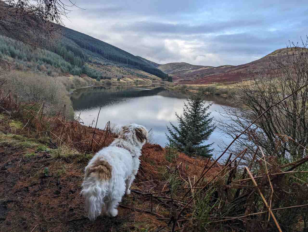 A wide view over a Glendevon reservoir and the Ochil Hills.