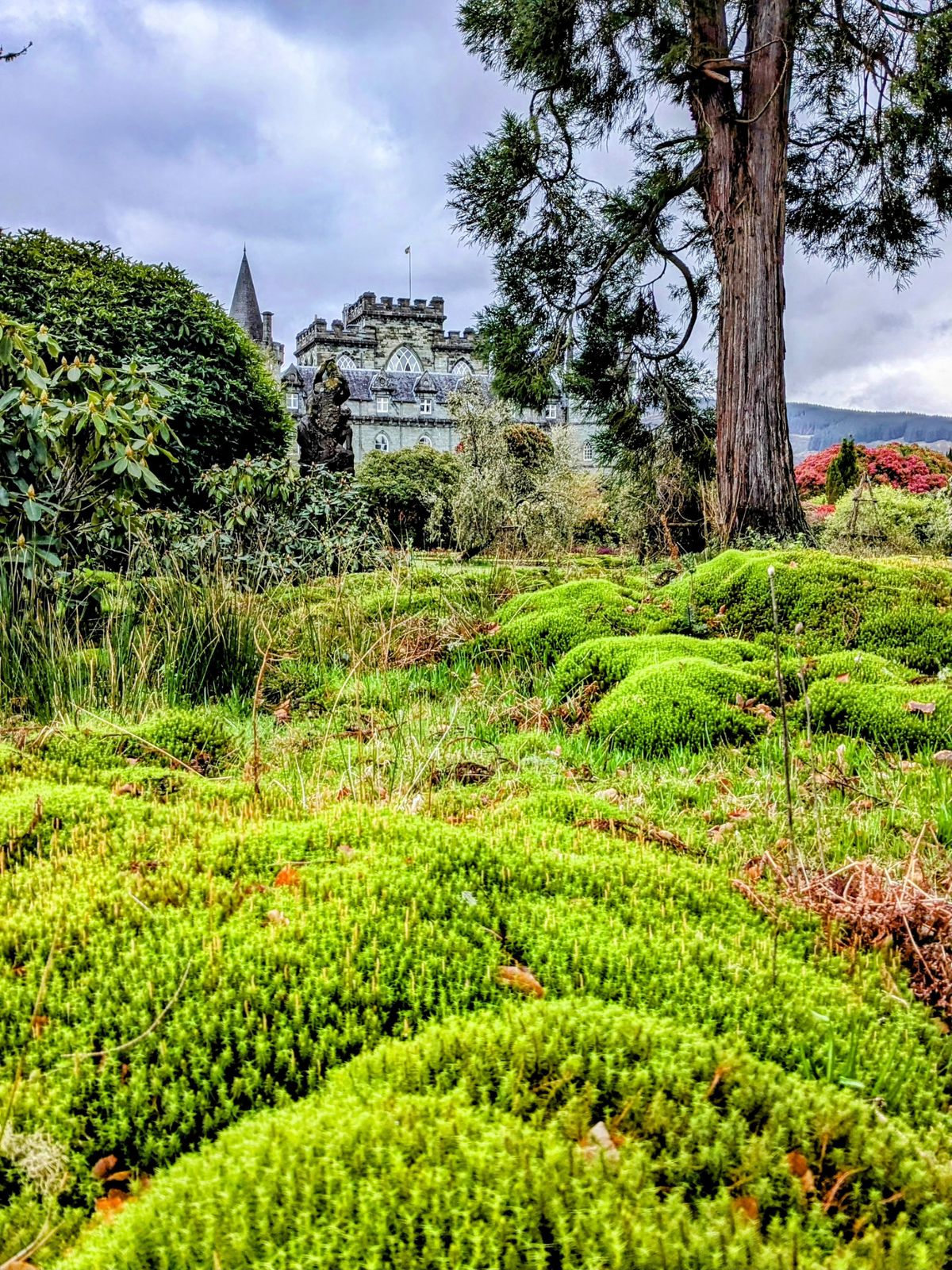 Inveraray Castle rising above the mossy topiary mounds of its garden