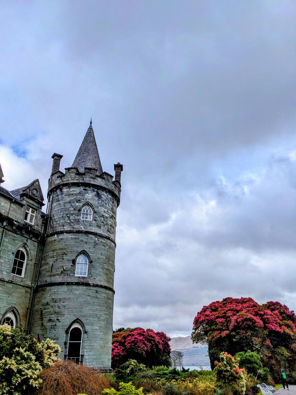 A turret of Inveraray Castle rising above red rhododendrons