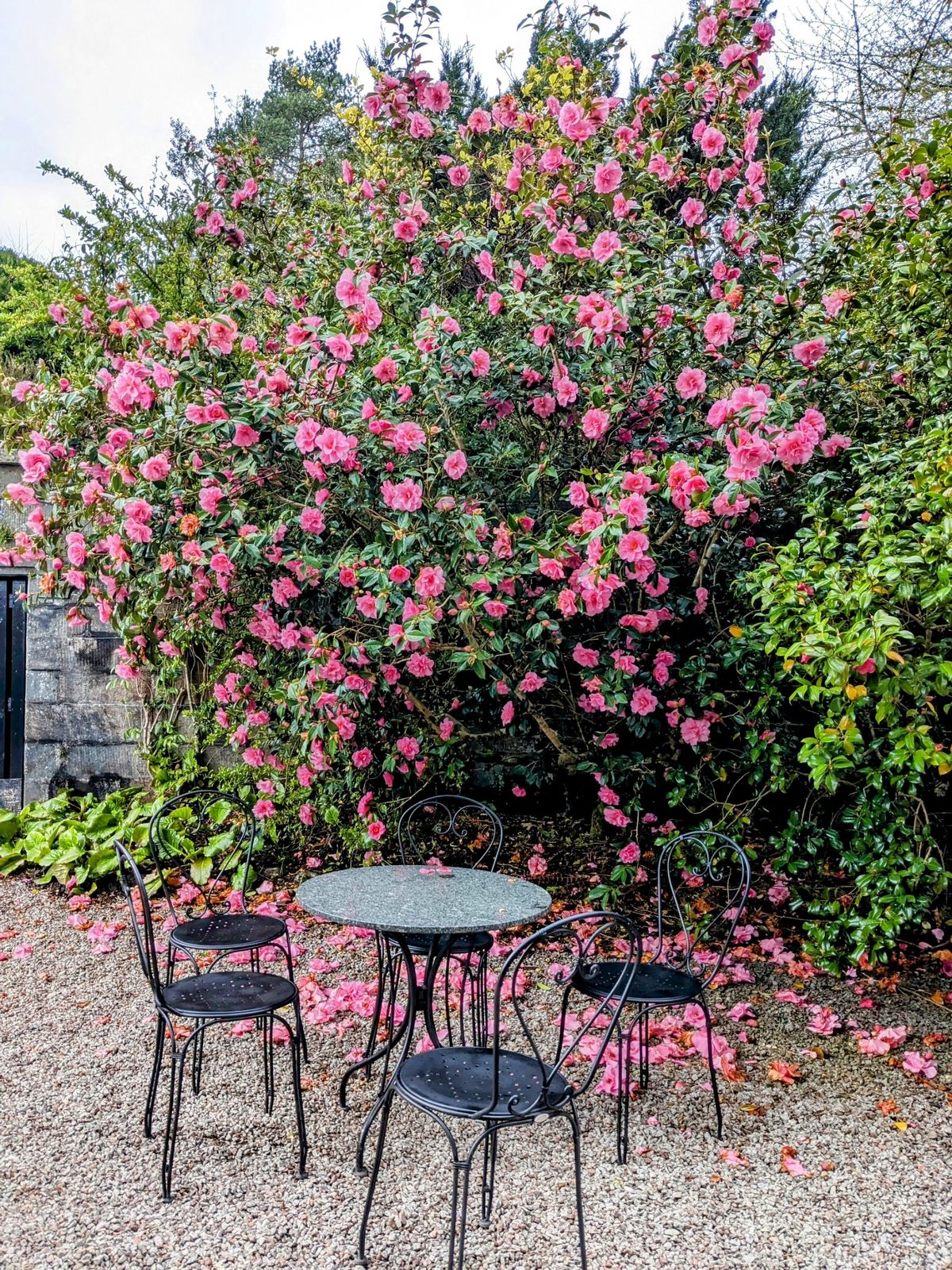 Cafe tables among the flowers in the courtyard at Inveraray Castle