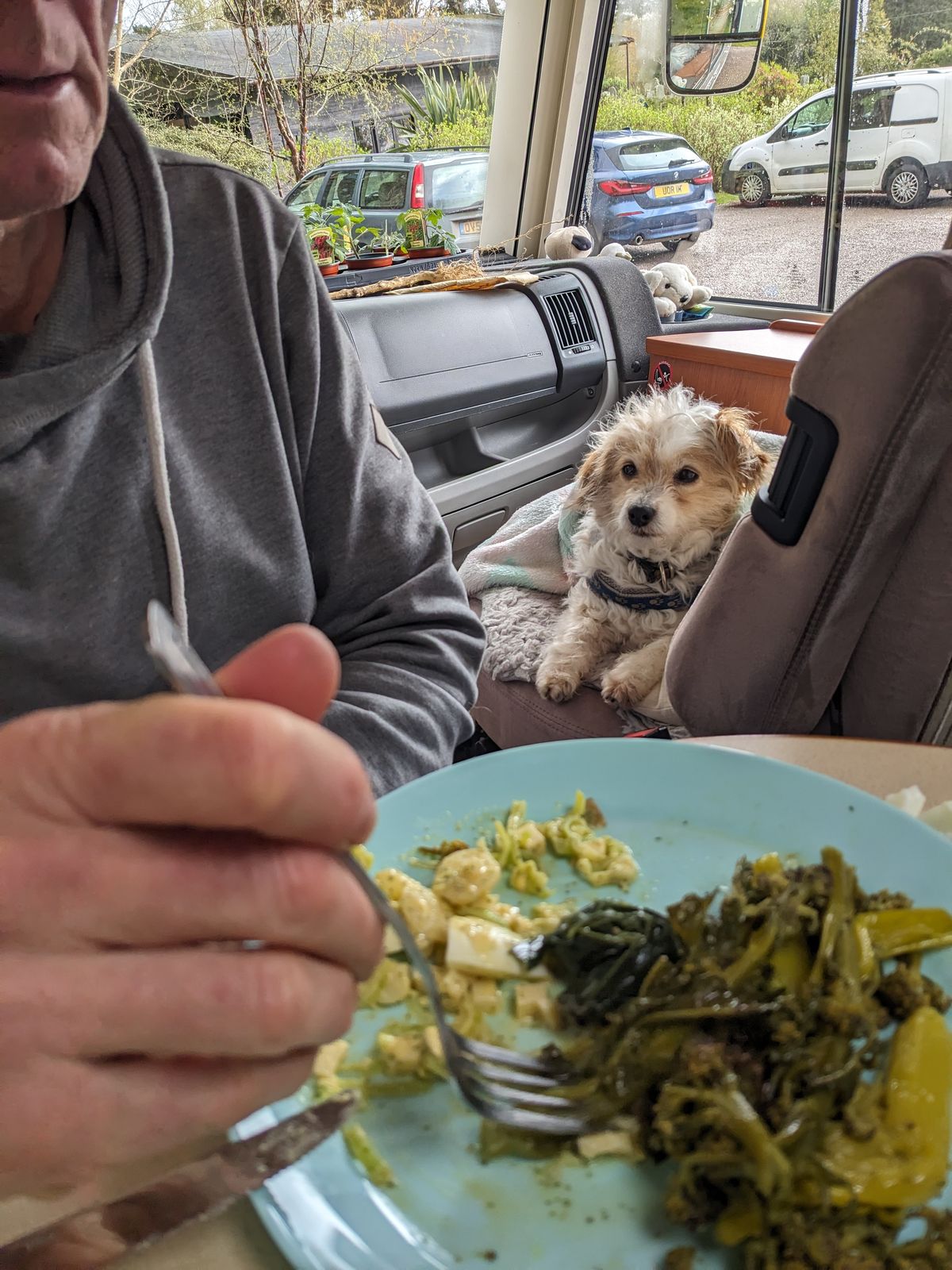 A meal at The George, Inveraray, with Lillie waiting under the table