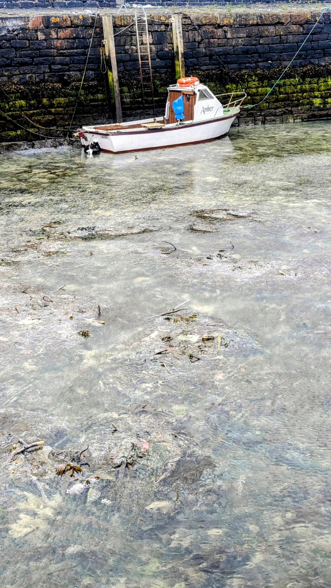 A small white fishing boat on the crystal-clear shallow water of Keiss Harbour, Caithness, at low tide.