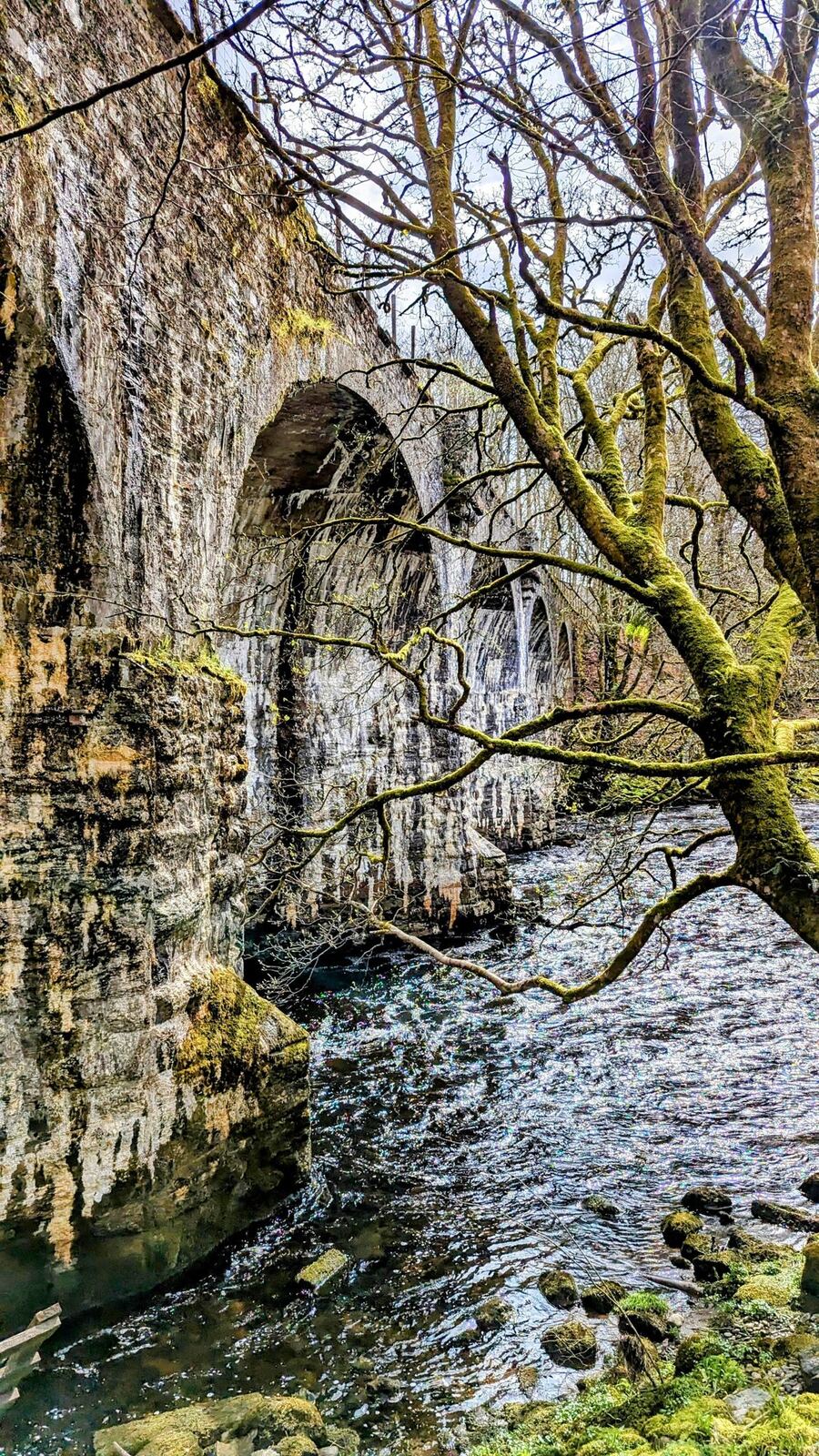 Stone arches of the Bridge of Dochart seen from below among mossy trees, water rushing beneath.